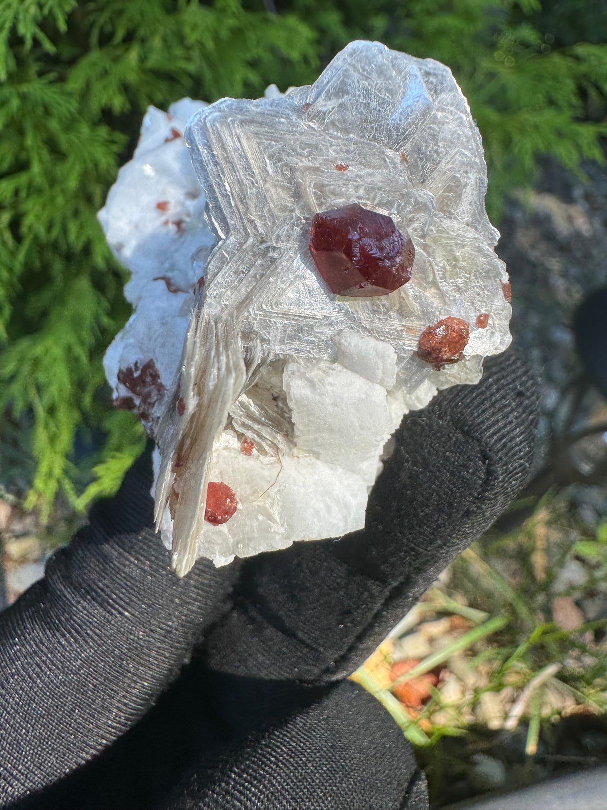 Garnet on Star Mica Specimen - 116g