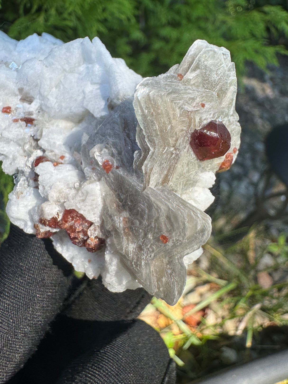 Garnet on Star Mica Specimen - 116g