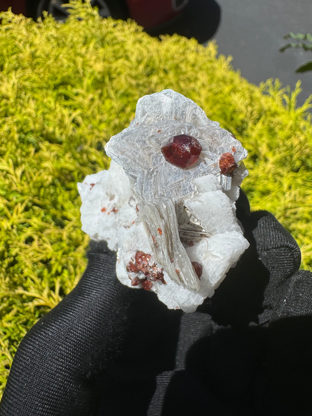 Garnet on Star Mica Specimen - 116g