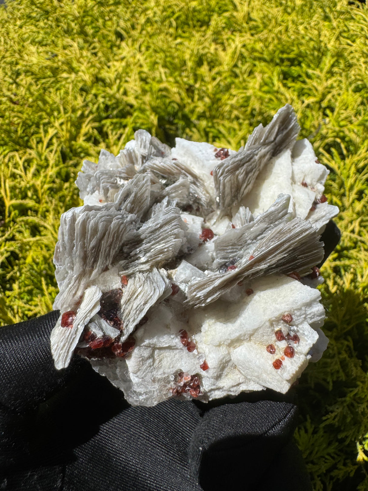 Garnet and Star Mica Specimen - 399g
