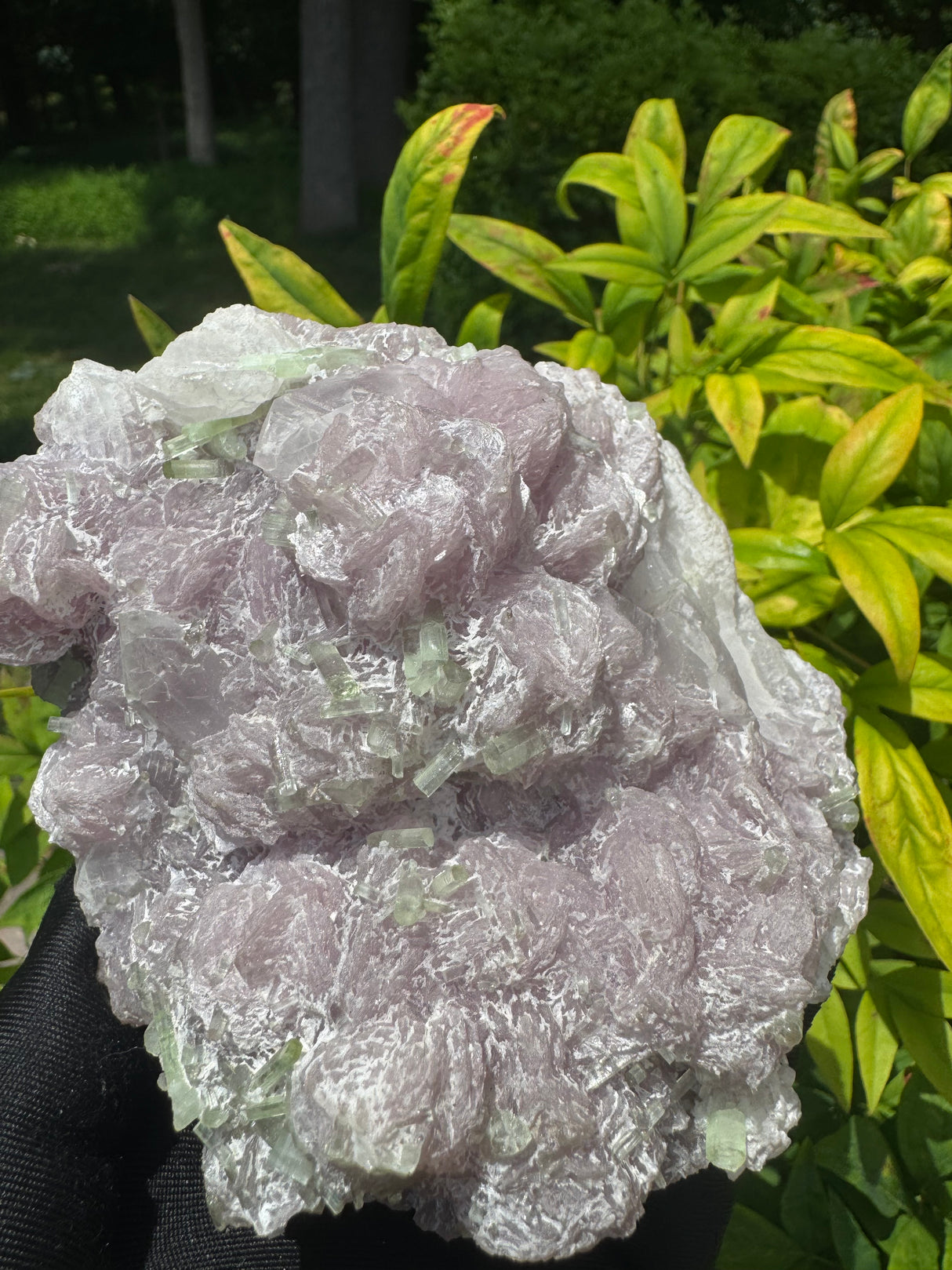 Watermelon Tourmaline Specimen - 969g