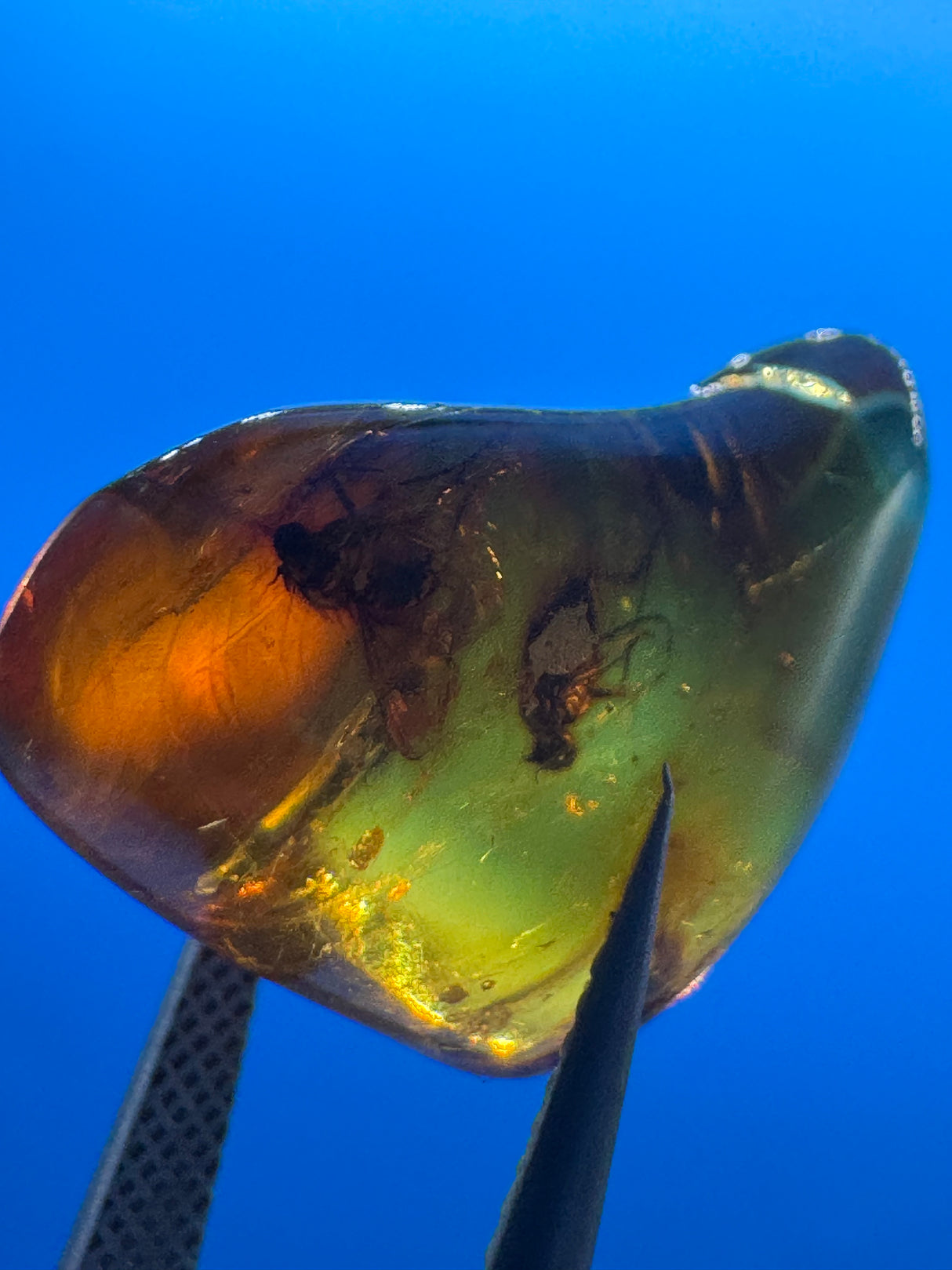 Amber Cabochon - 1.191g