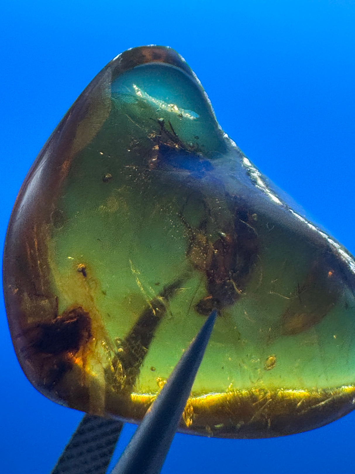Amber Cabochon - 1.191g