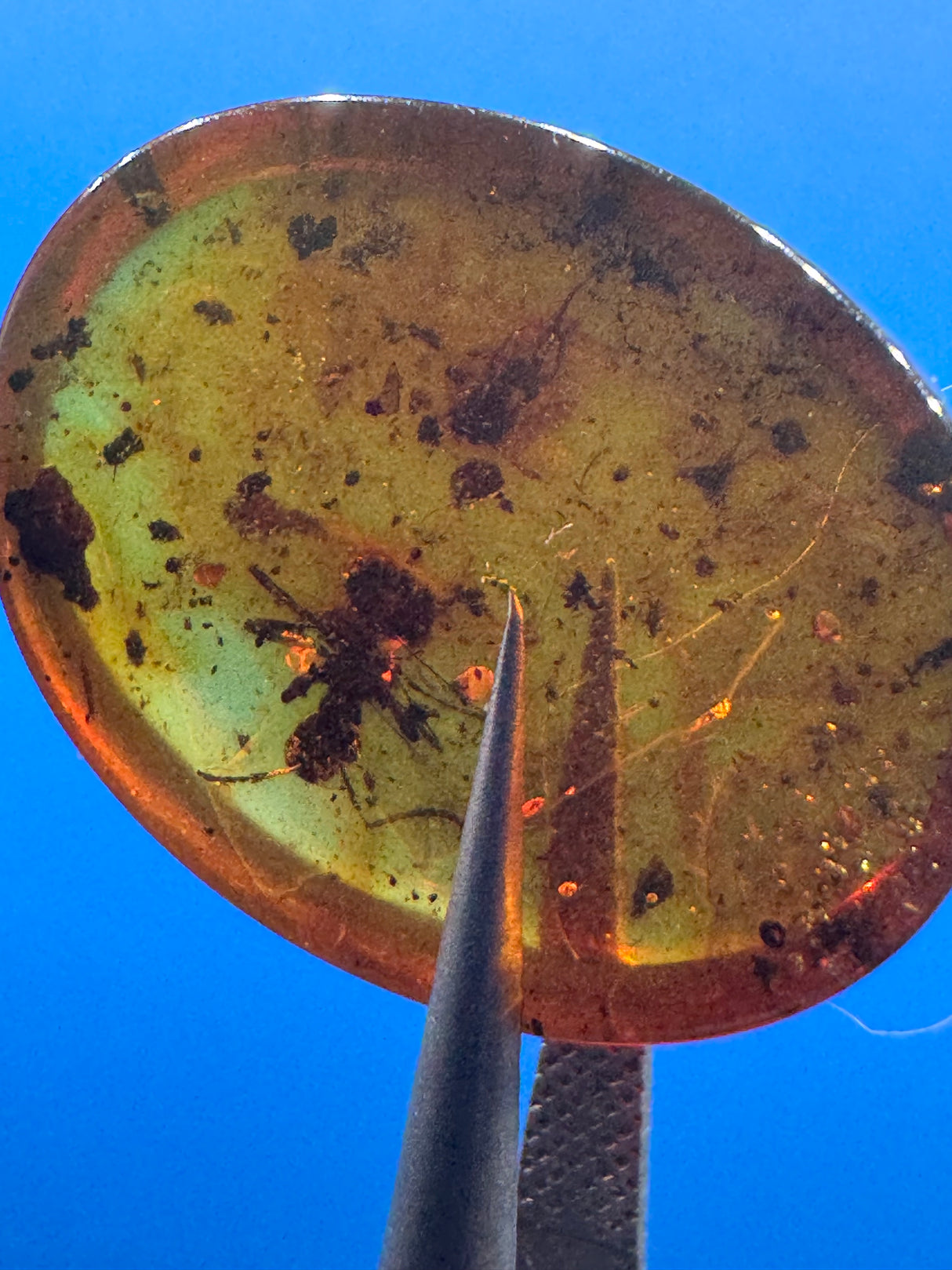 Amber Cabochon - 0.286g