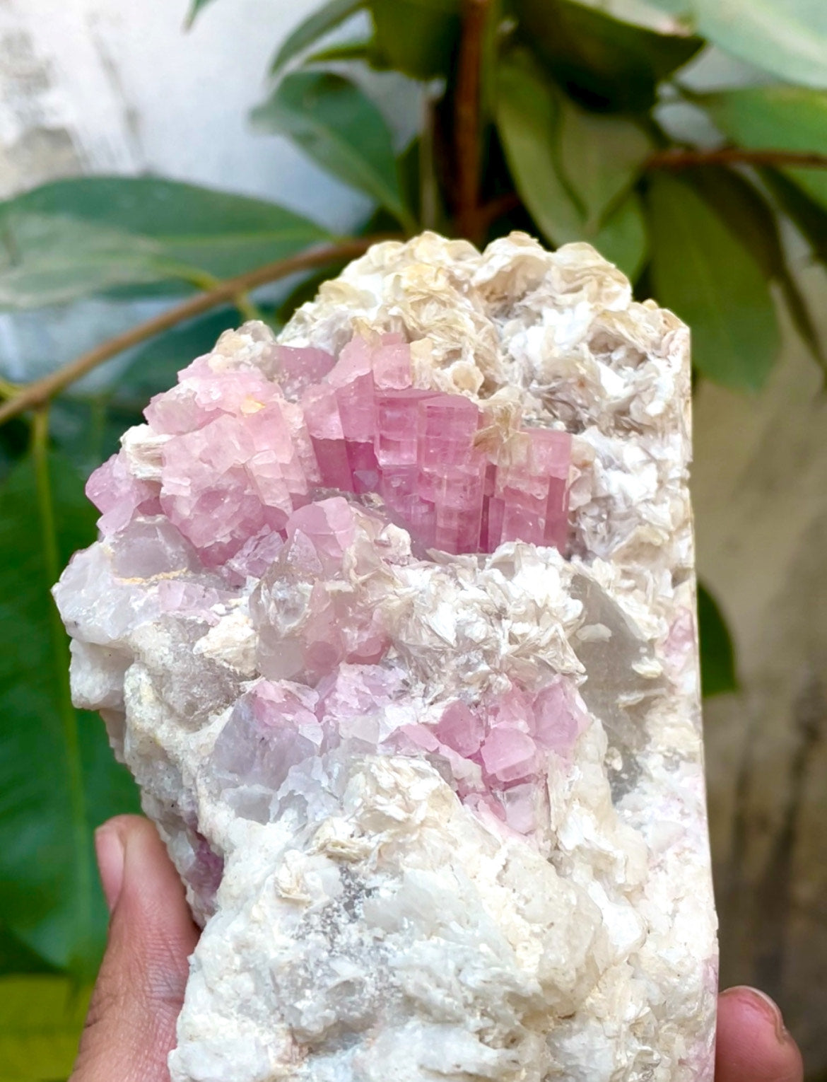 Pink Tourmaline Specimen - 1030g