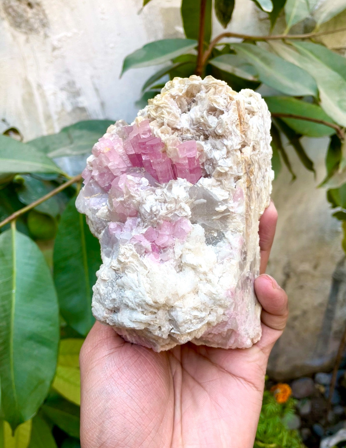 Pink Tourmaline Specimen - 1030g