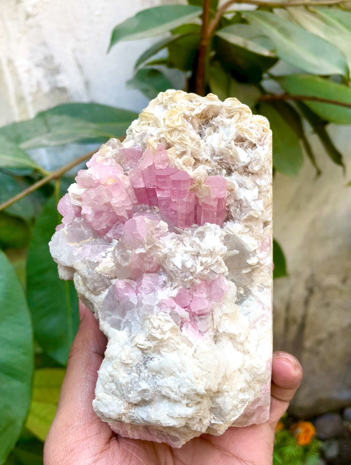 Pink Tourmaline Specimen - 1030g