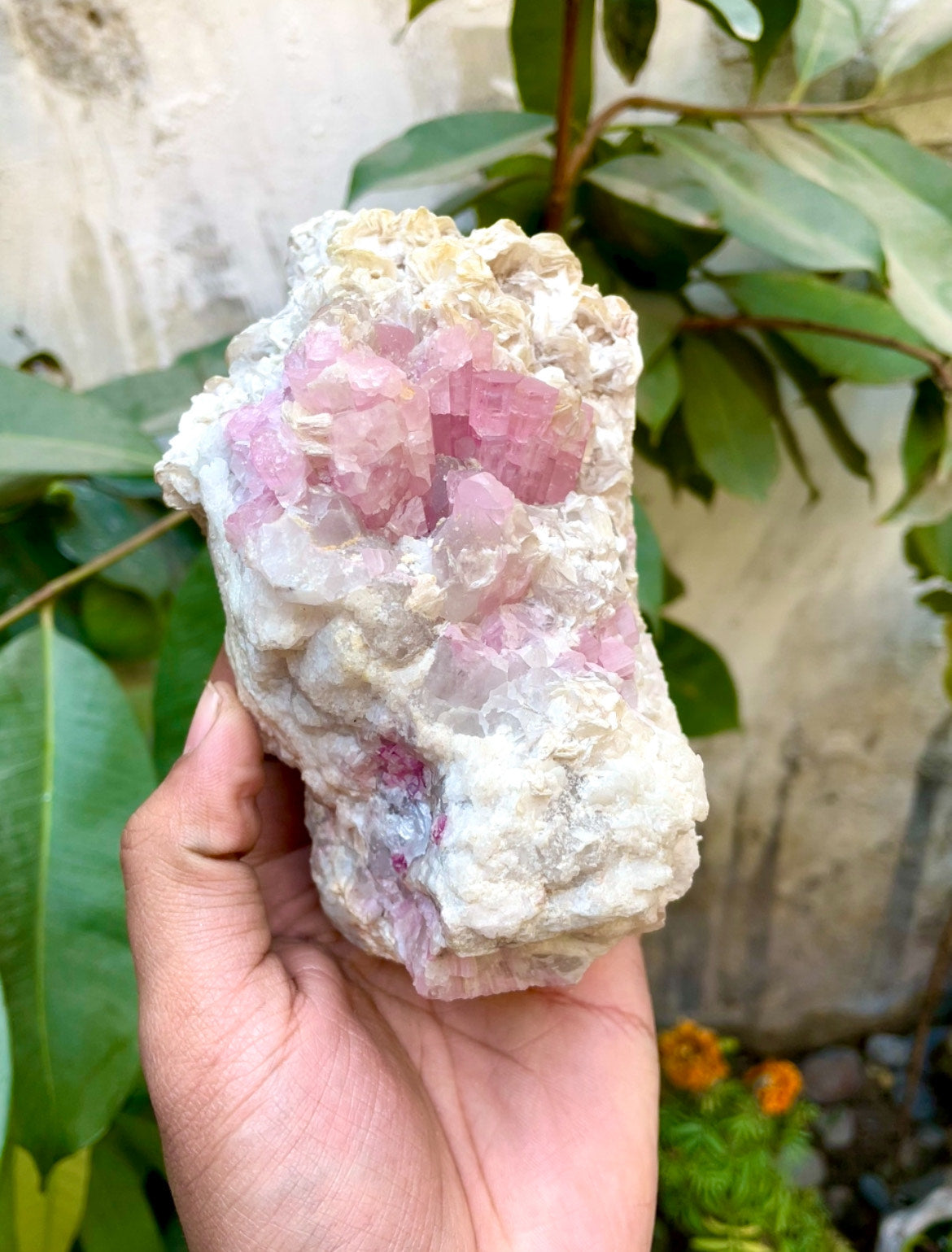 Pink Tourmaline Specimen - 1030g