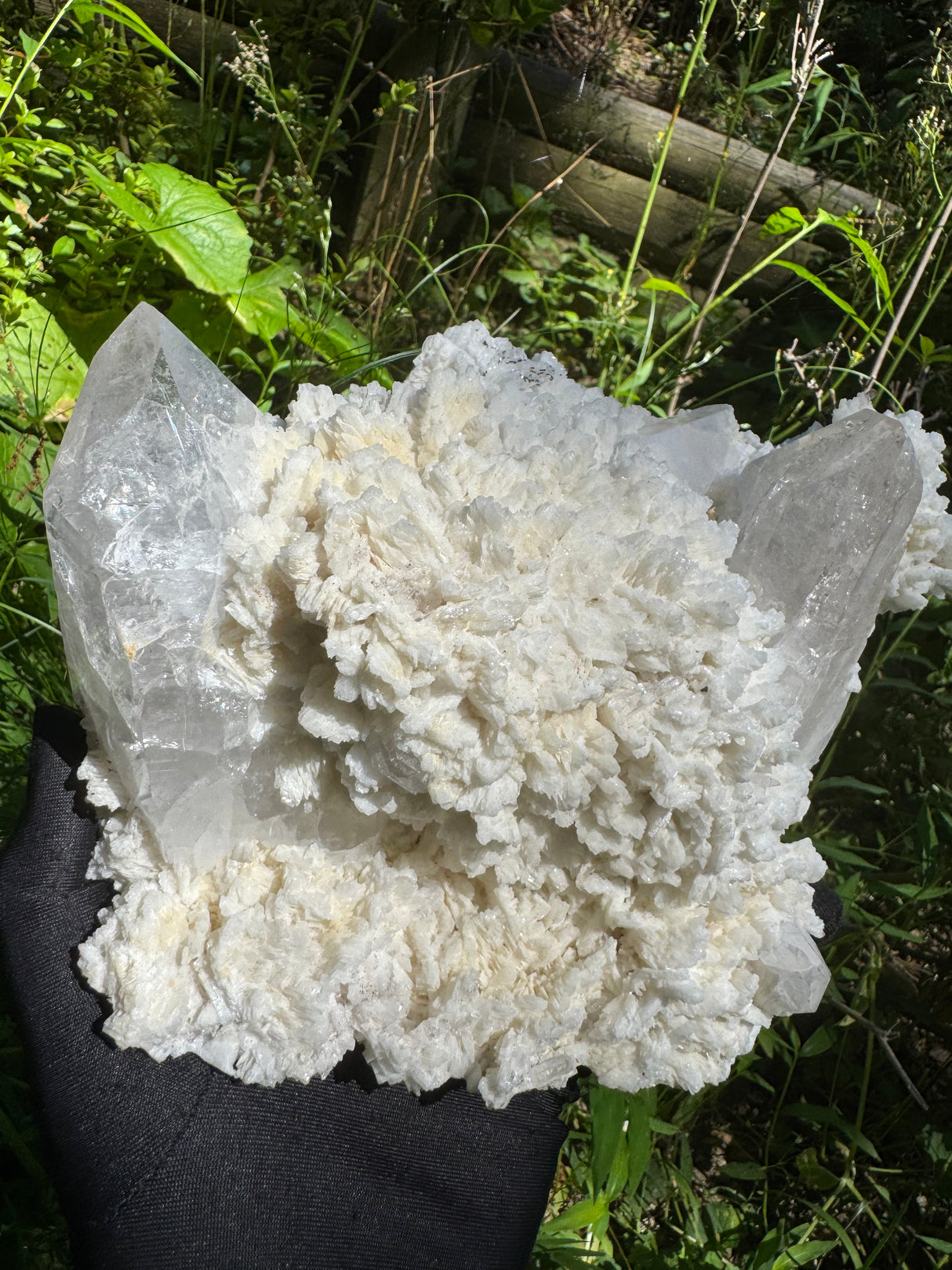 Quartz Specimen - 5.78lb