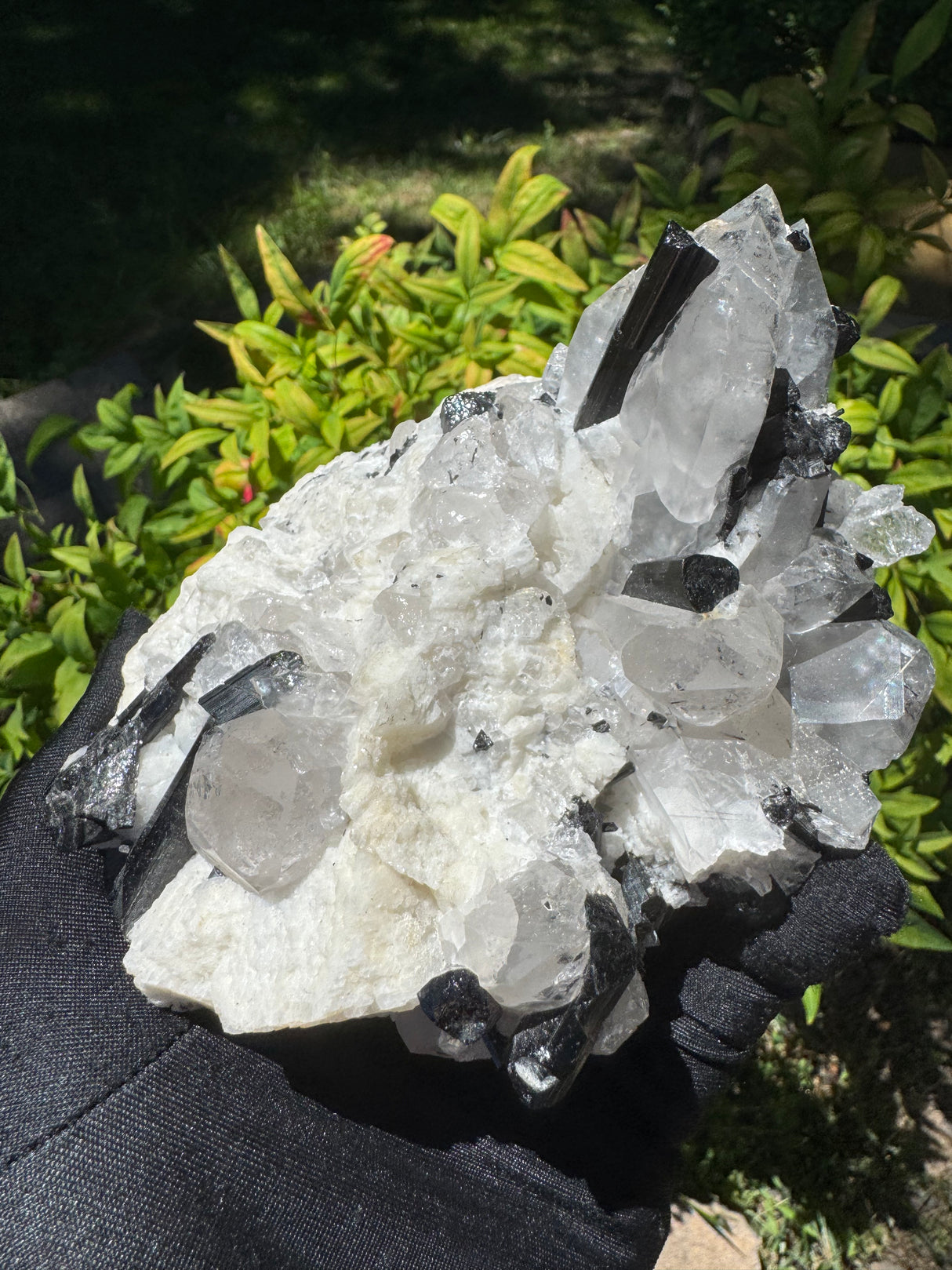 Black Tourmaline & Quartz - 726g
