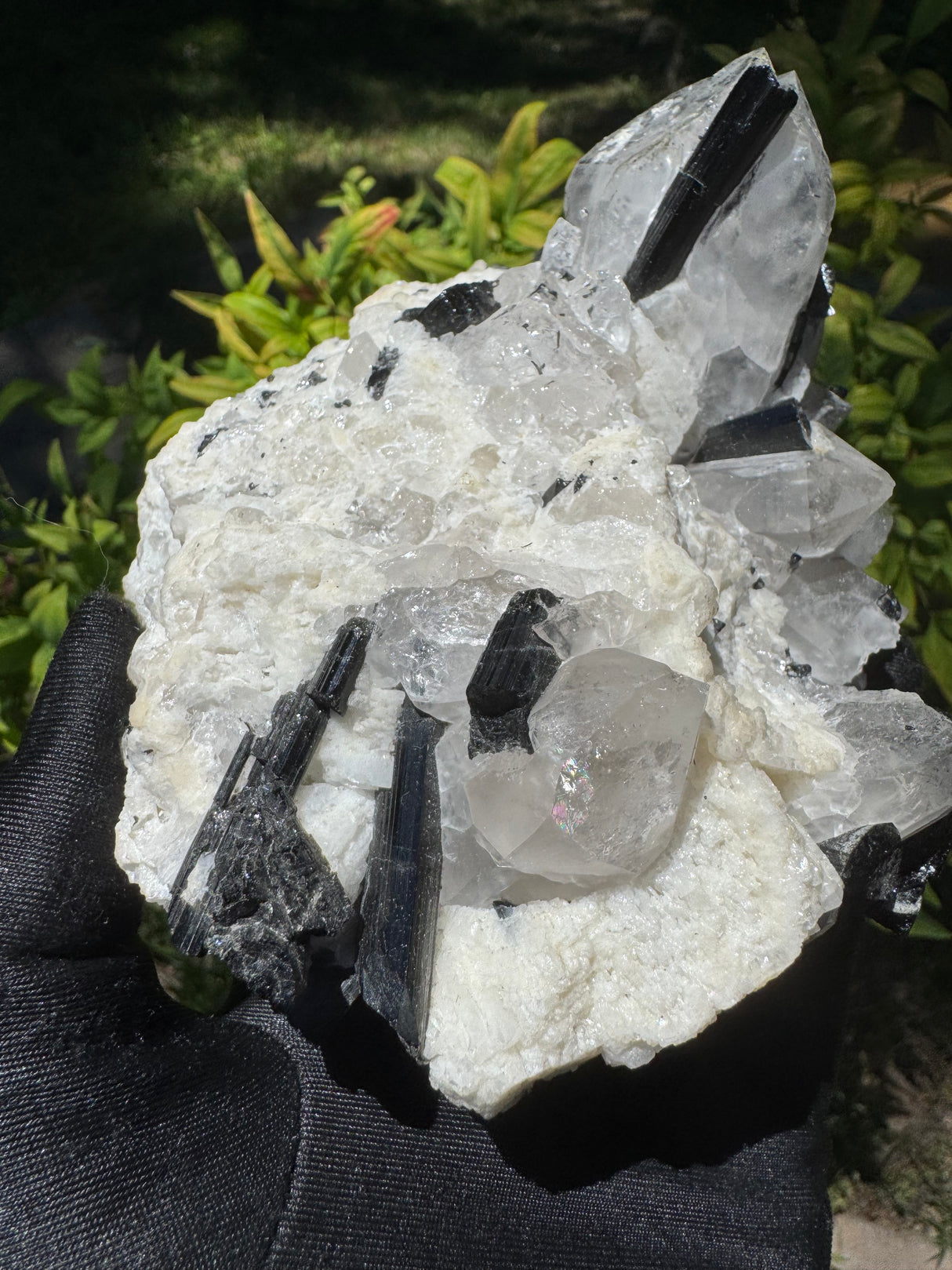 Black Tourmaline & Quartz - 726g