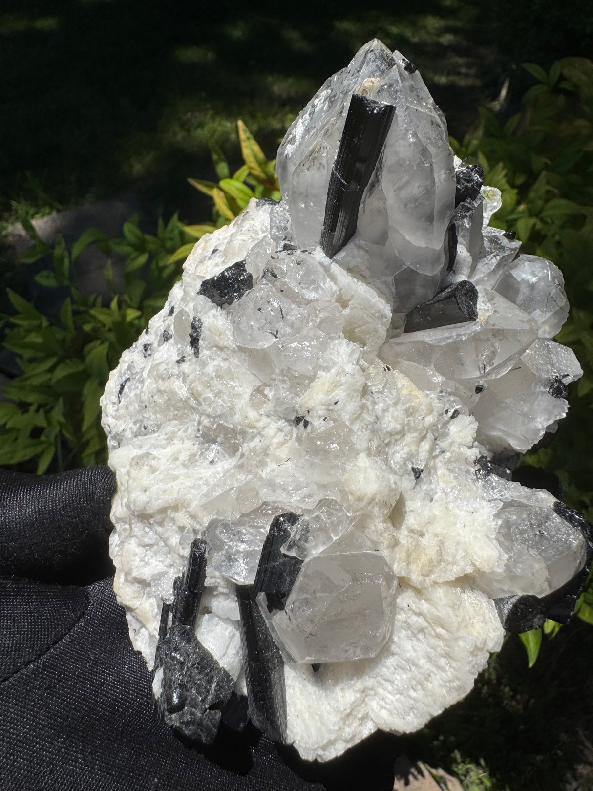 Black Tourmaline & Quartz - 726g