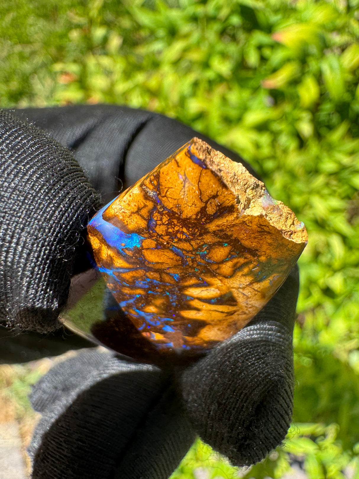 Australia Opal - Appx 25ct