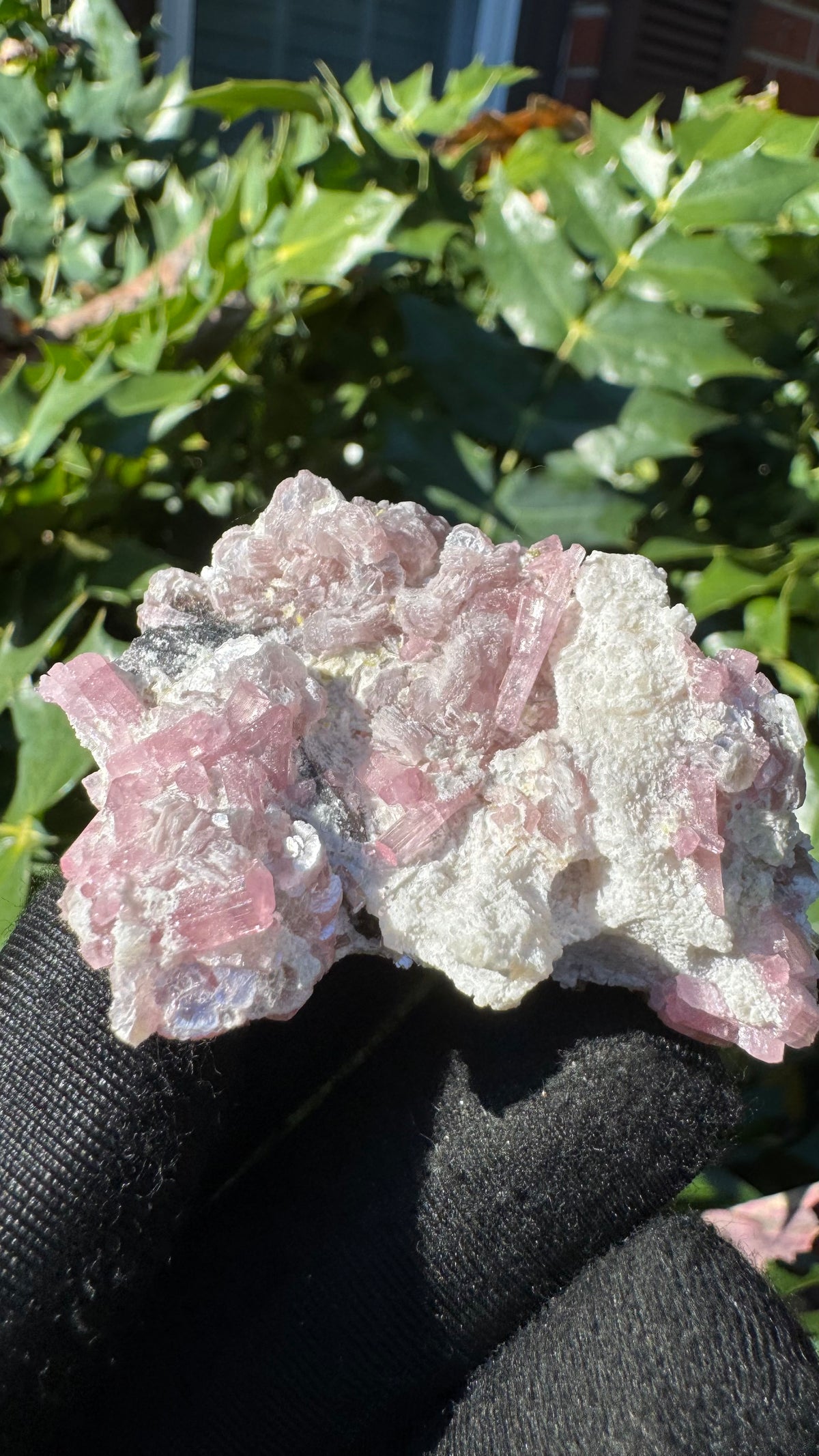 Tourmaline Specimen - 51g