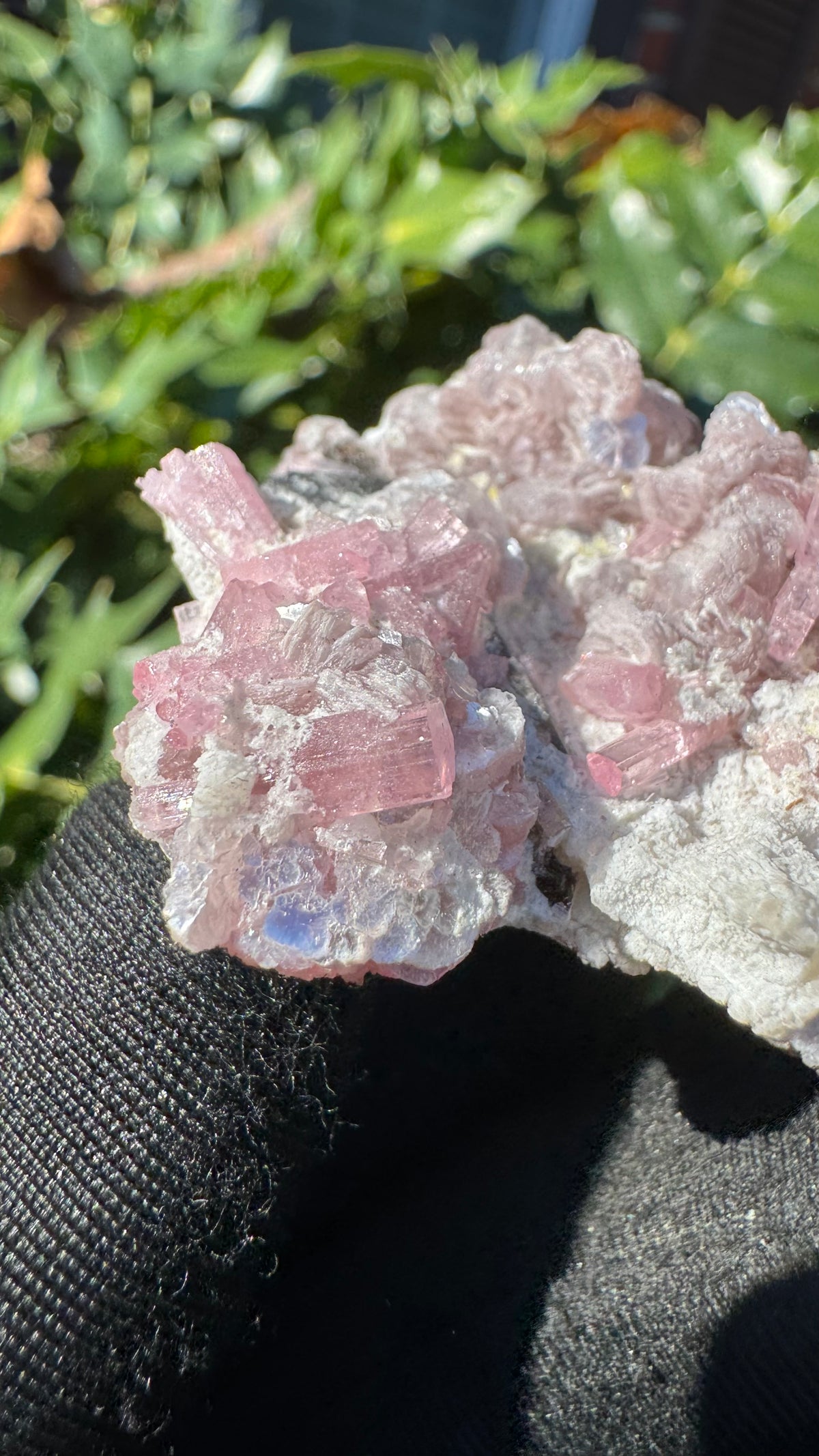 Tourmaline Specimen - 51g