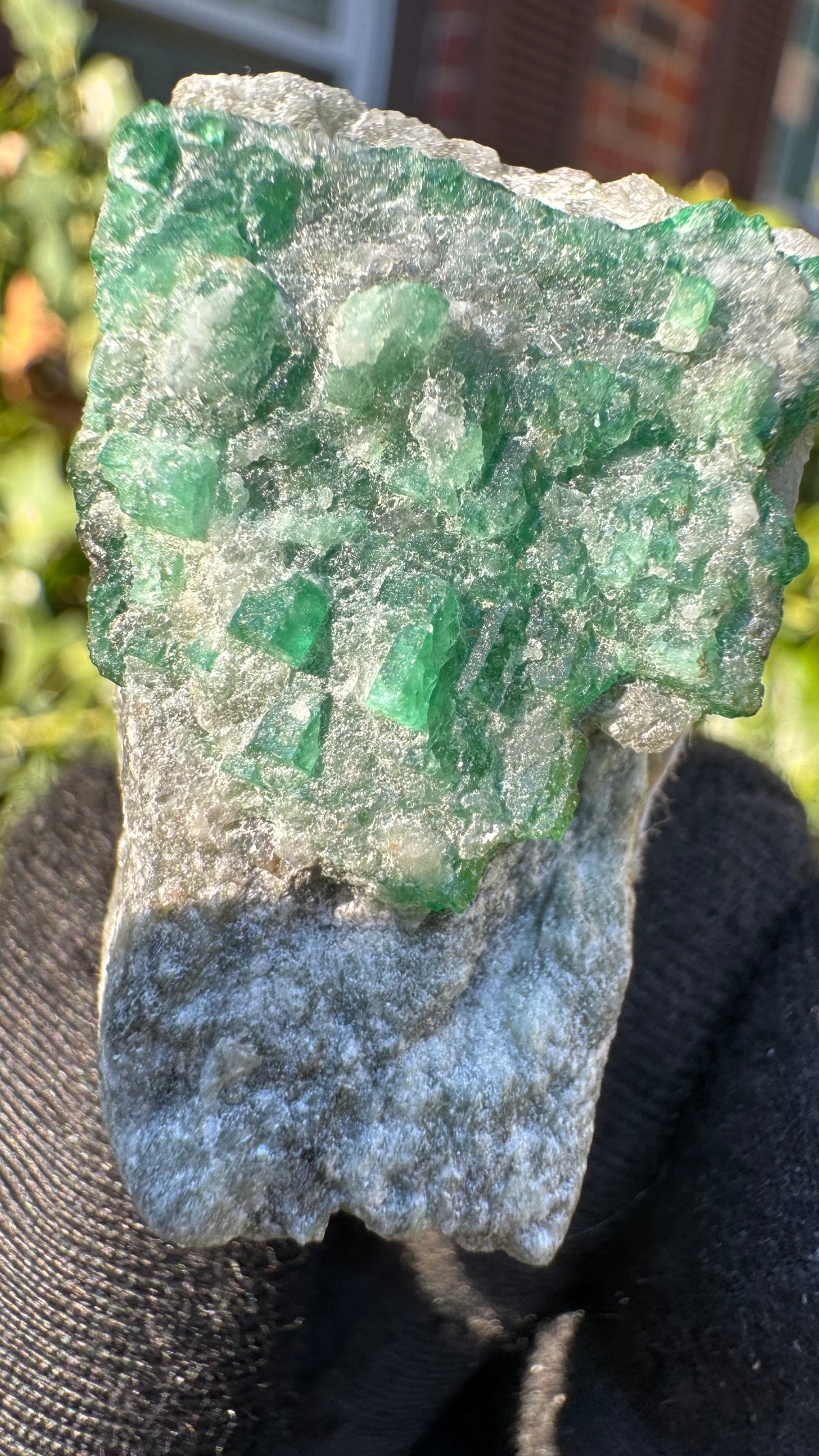 Emerald Specimen - 39g
