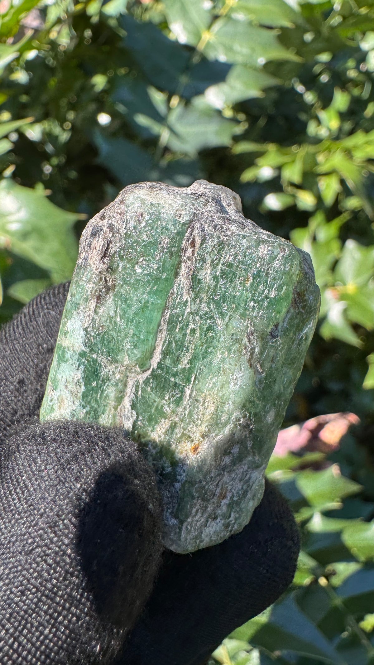 Zambian Emerald Specimen - 40g