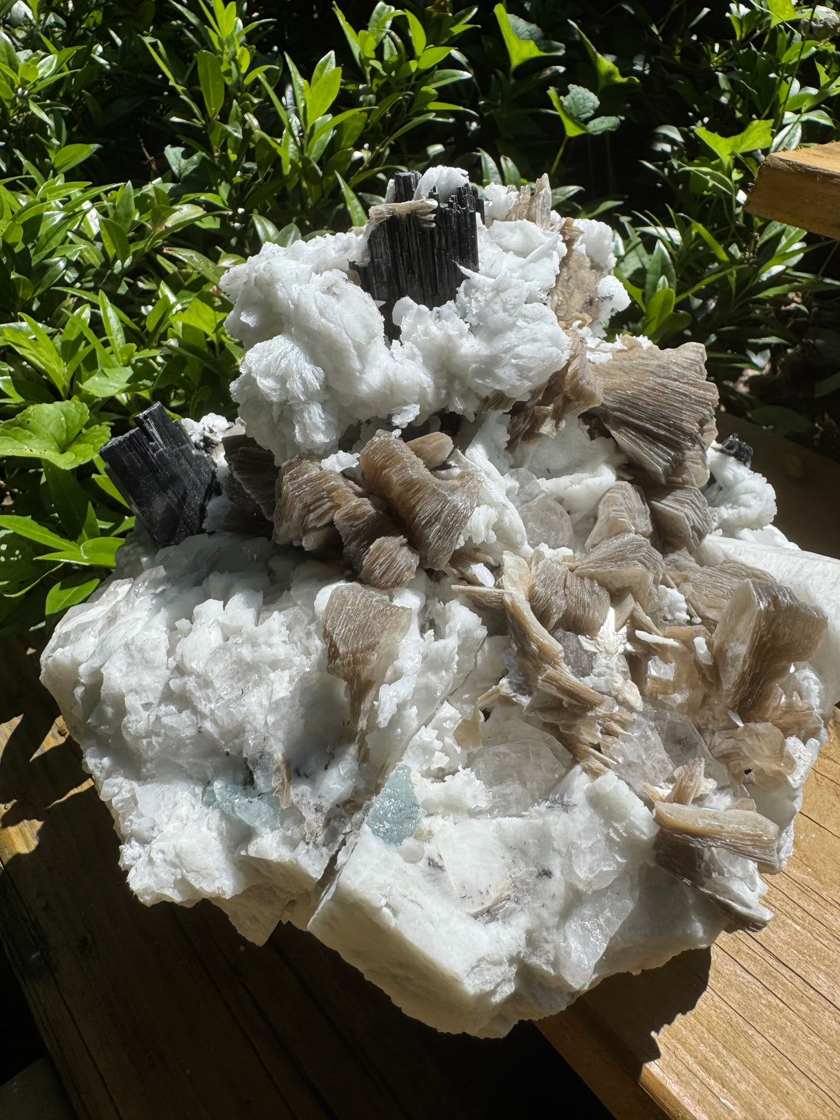 Black Tourmaline & Aquamarine/Quartz Combo Specimen - 14.96lb