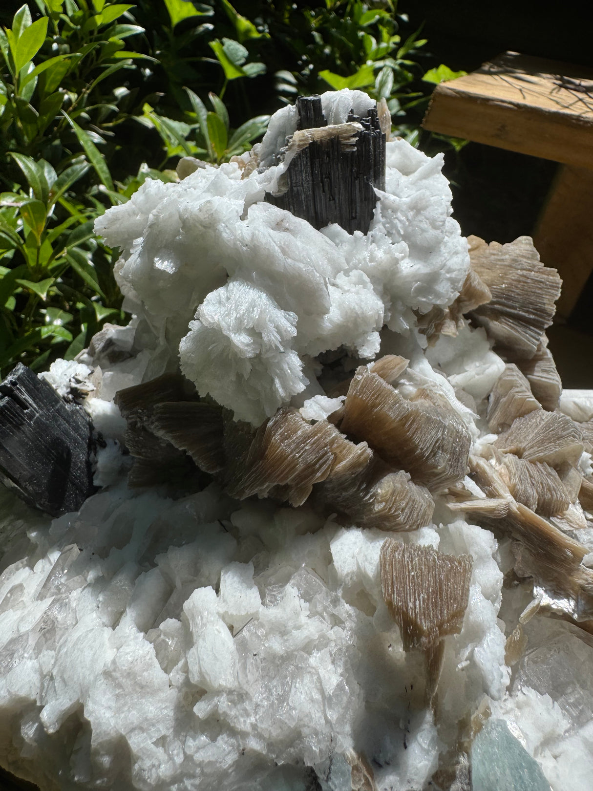 Black Tourmaline & Aquamarine/Quartz Combo Specimen - 14.96lb