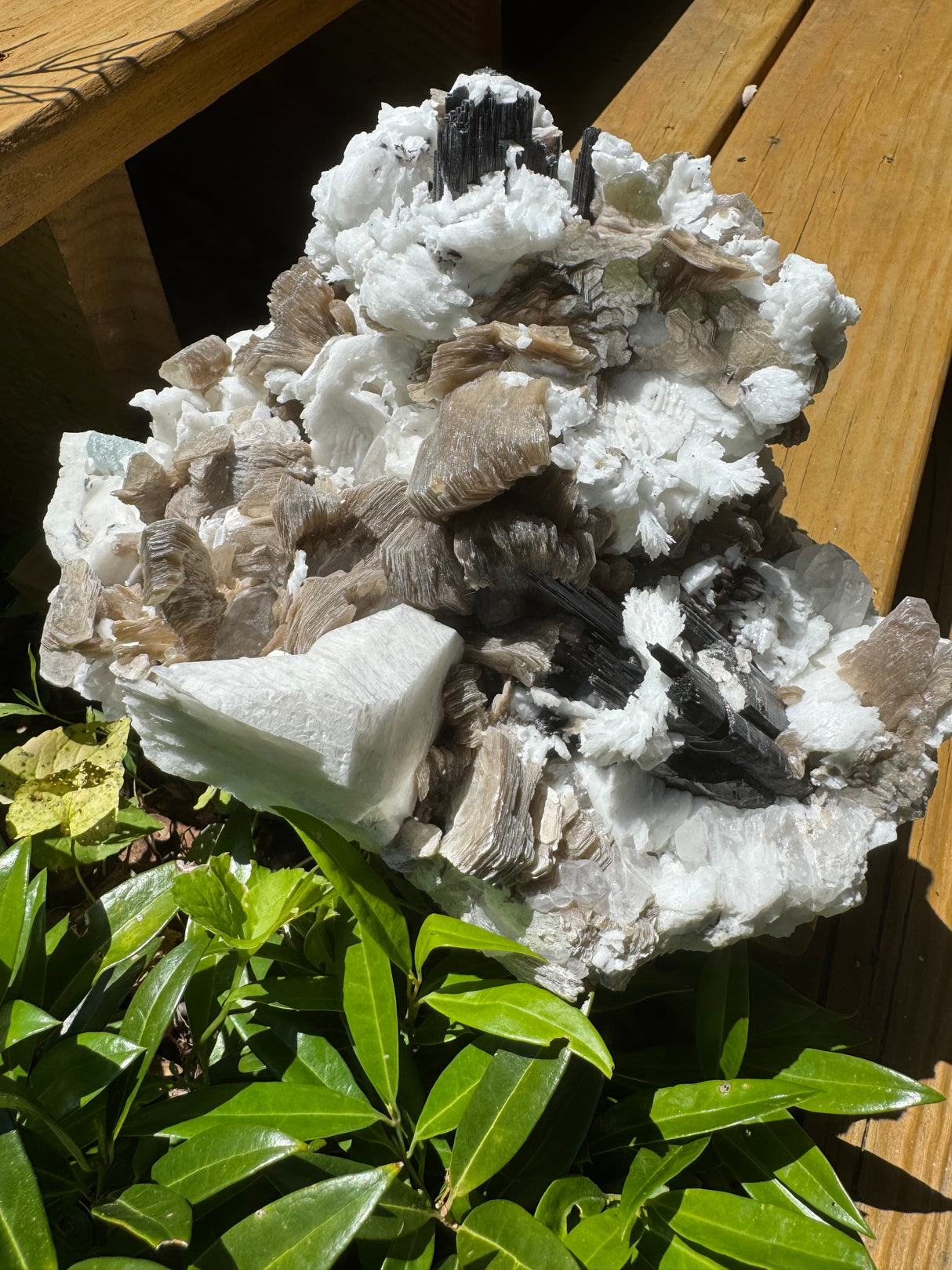 Black Tourmaline & Aquamarine/Quartz Combo Specimen - 14.96lb