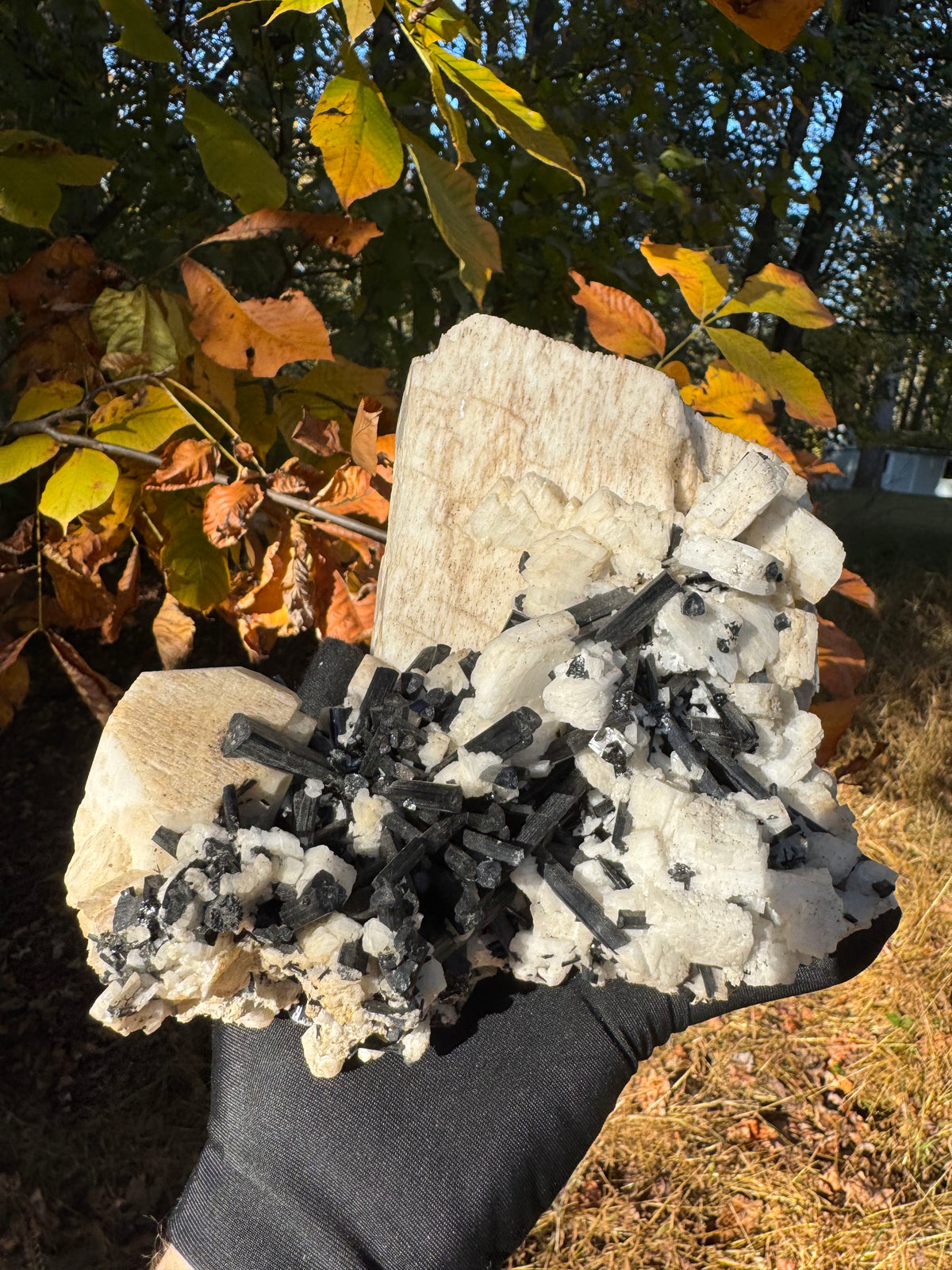 Feldspar and Black Tourmaline Specimen - 5.6lb