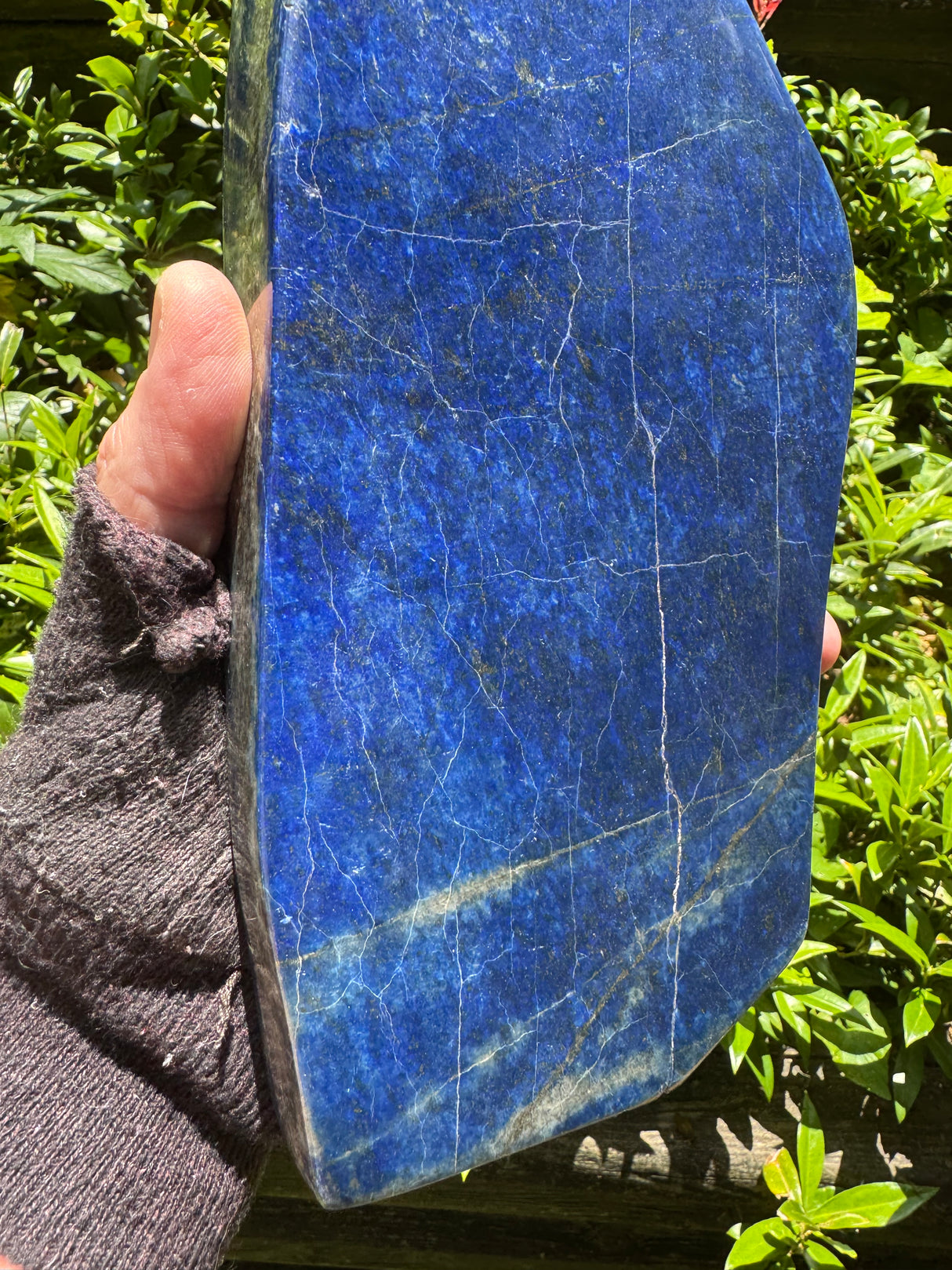 Lapis Lazuli Free Form Polished - 11.44lb