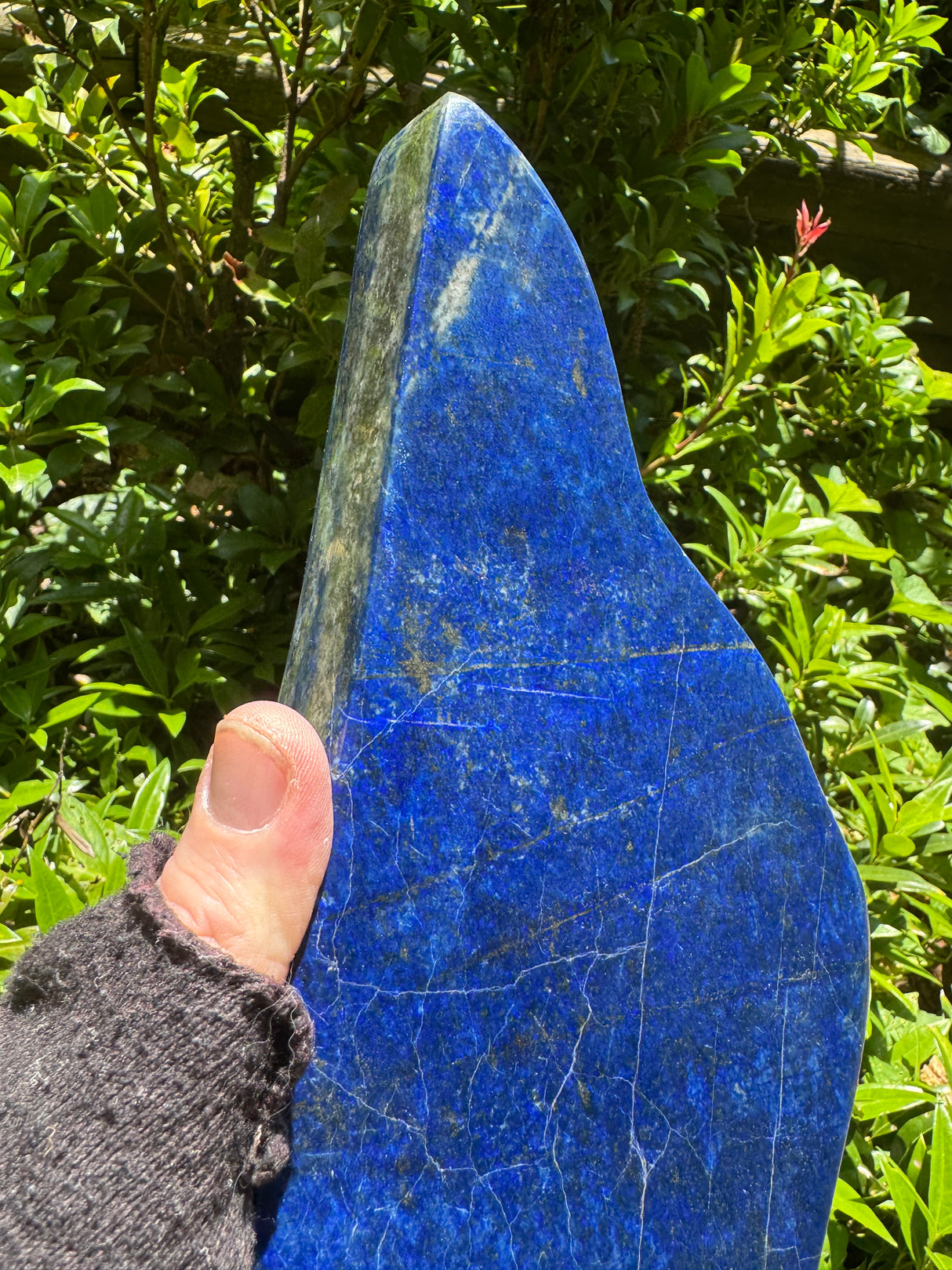 Lapis Lazuli Free Form Polished - 11.44lb