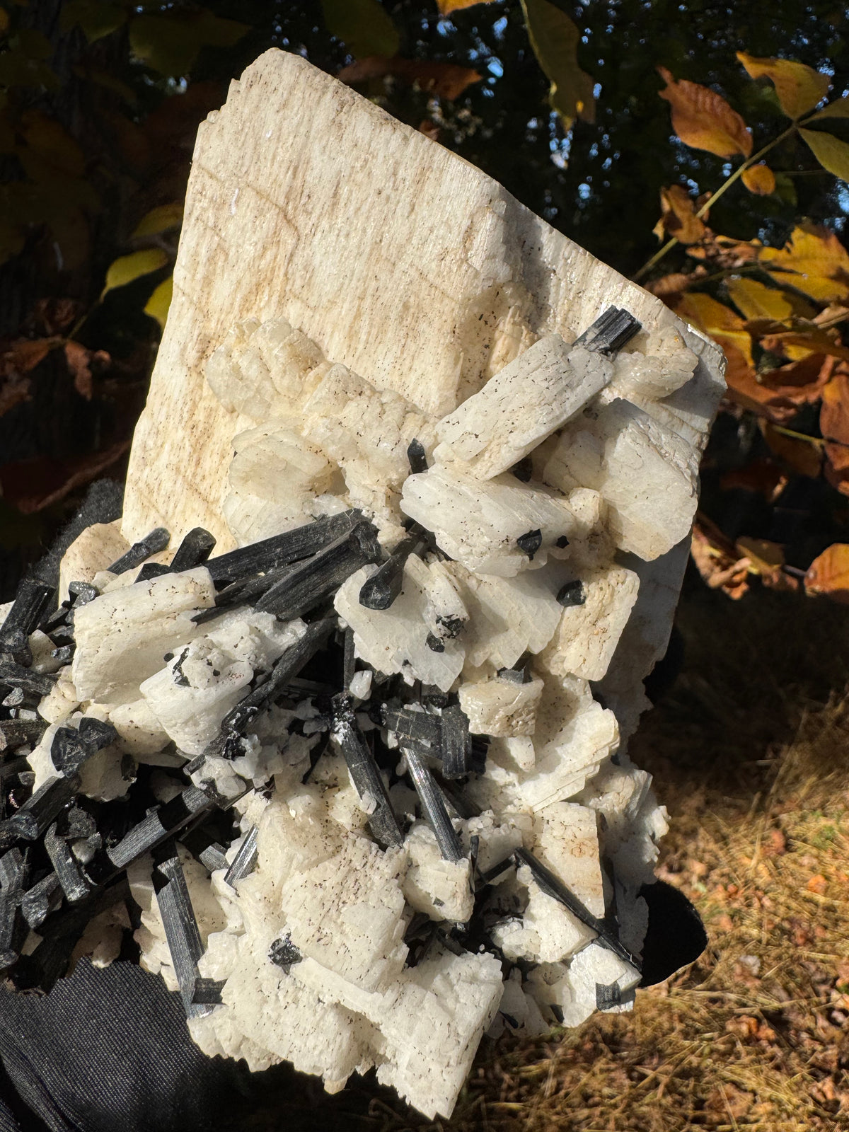 Feldspar and Black Tourmaline Specimen - 5.6lb