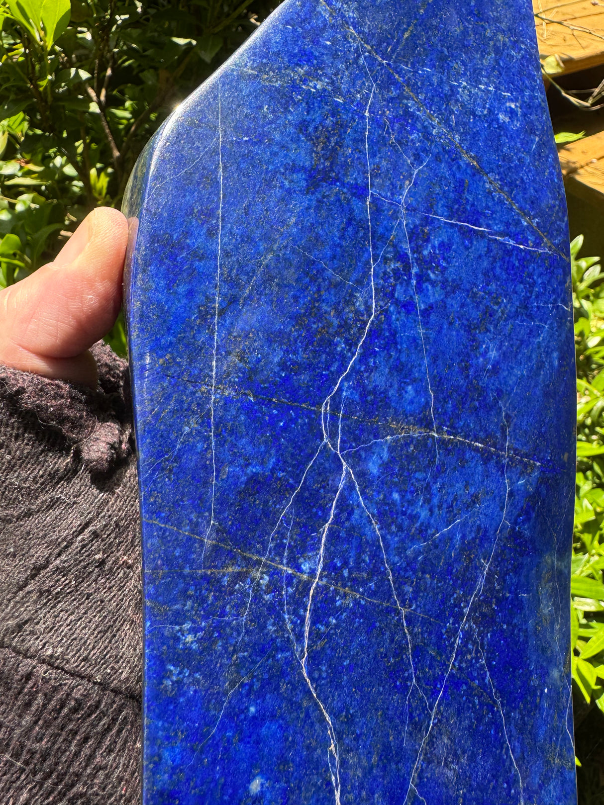 Lapis Lazuli Free Form Polished - 11.44lb