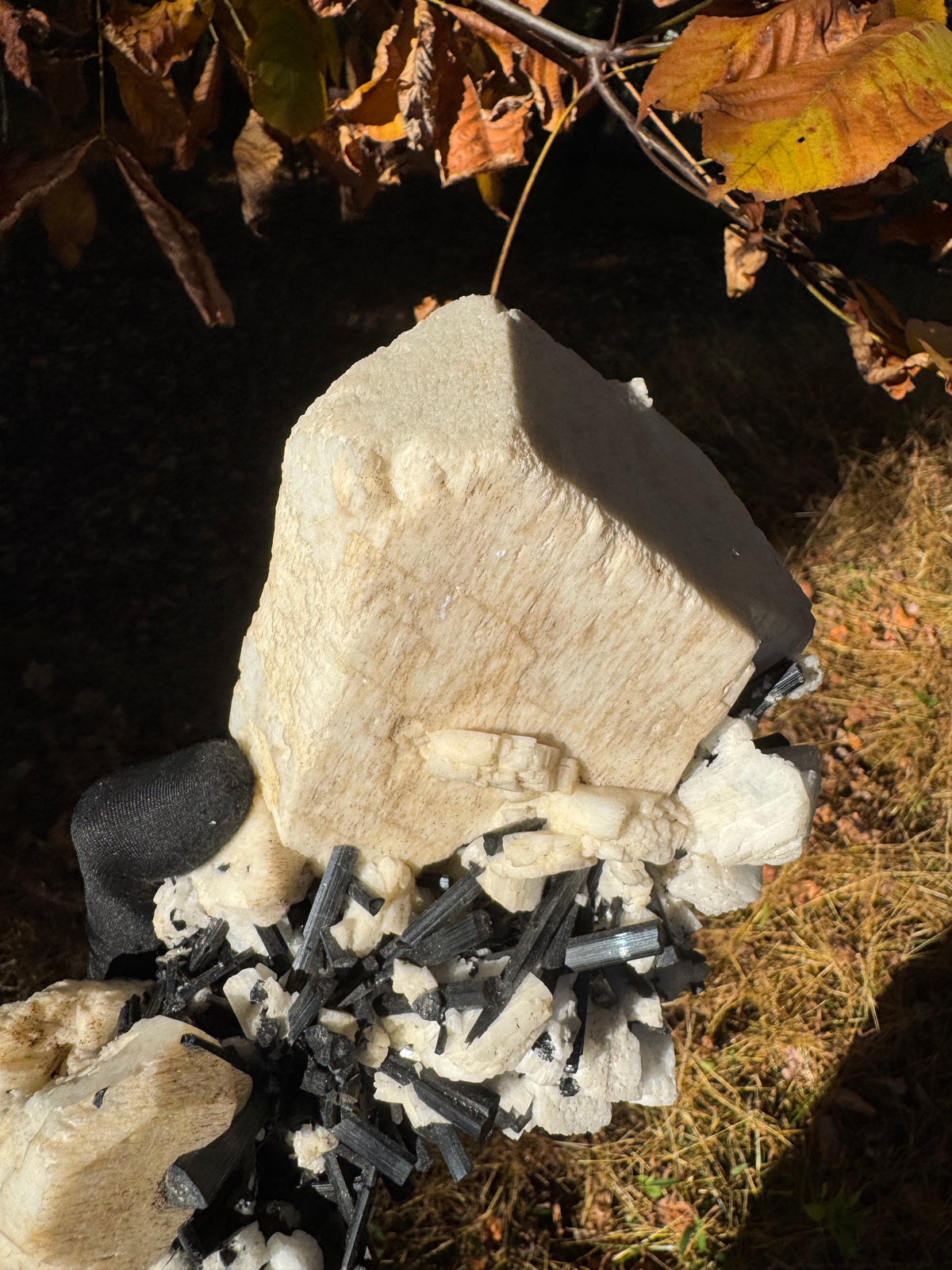 Feldspar and Black Tourmaline Specimen - 5.6lb