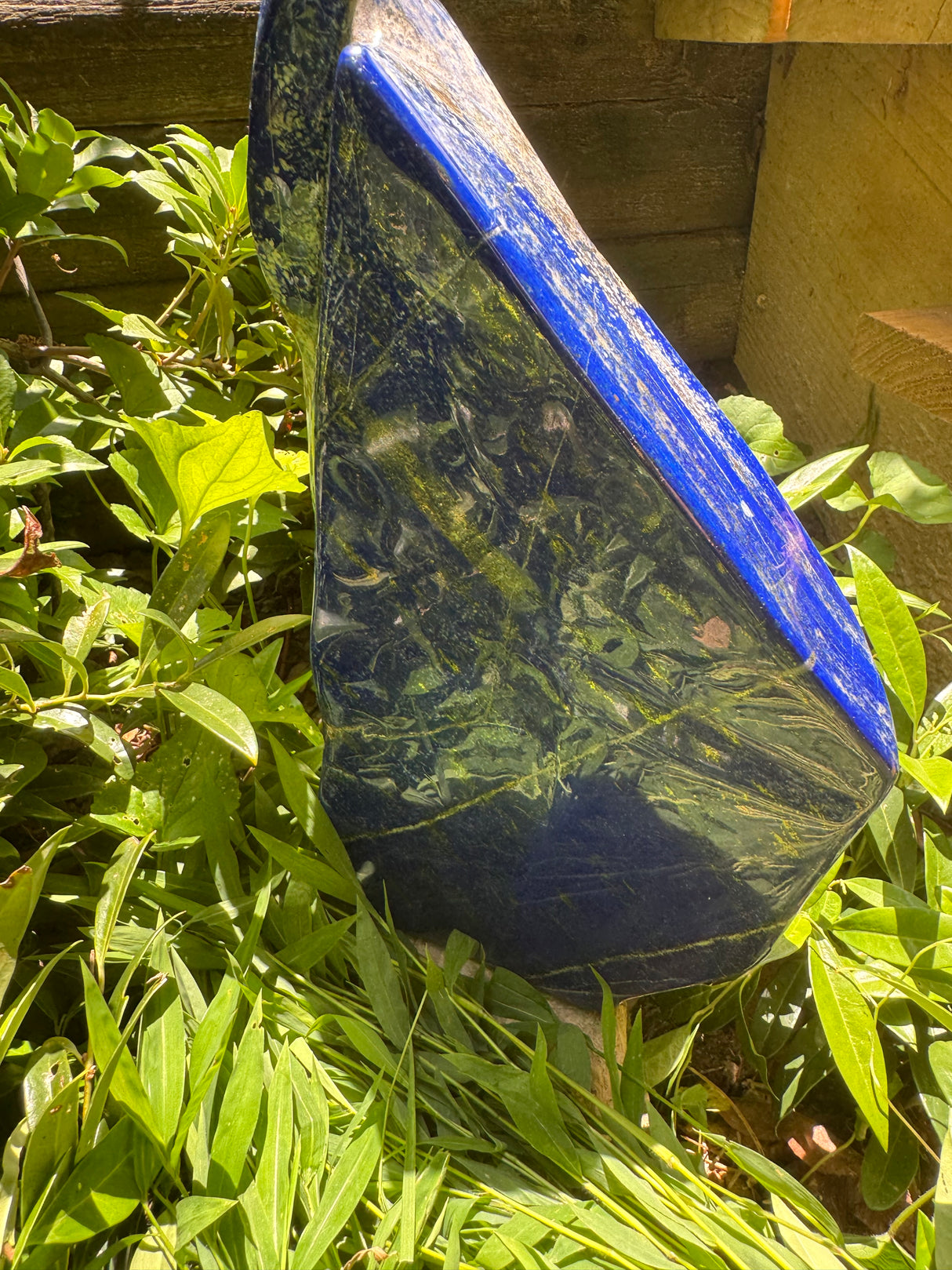 Lapis Lazuli Free Form Polished - 16lb