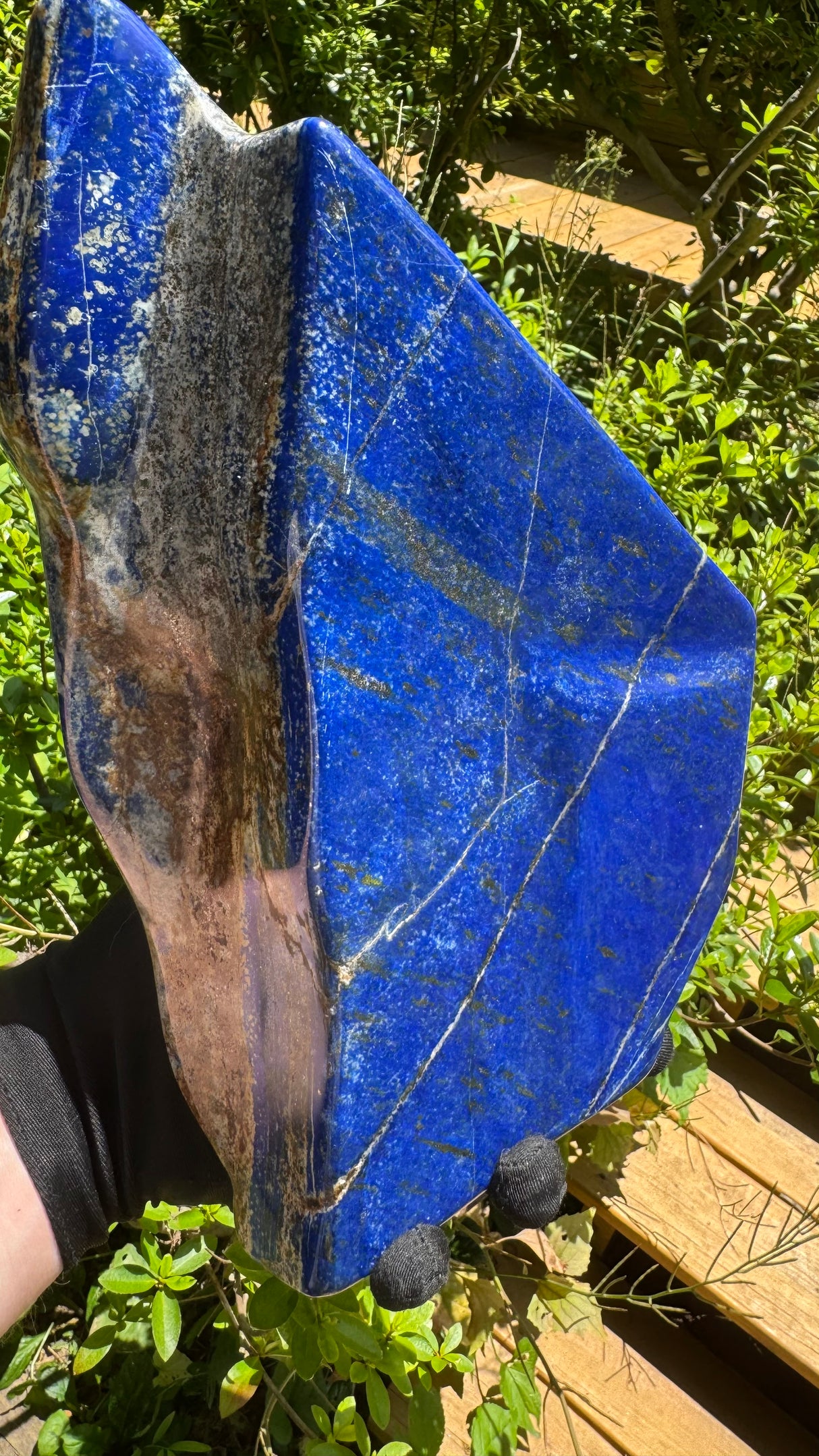 Lapis Lazuli Free Form Polished - 16lb