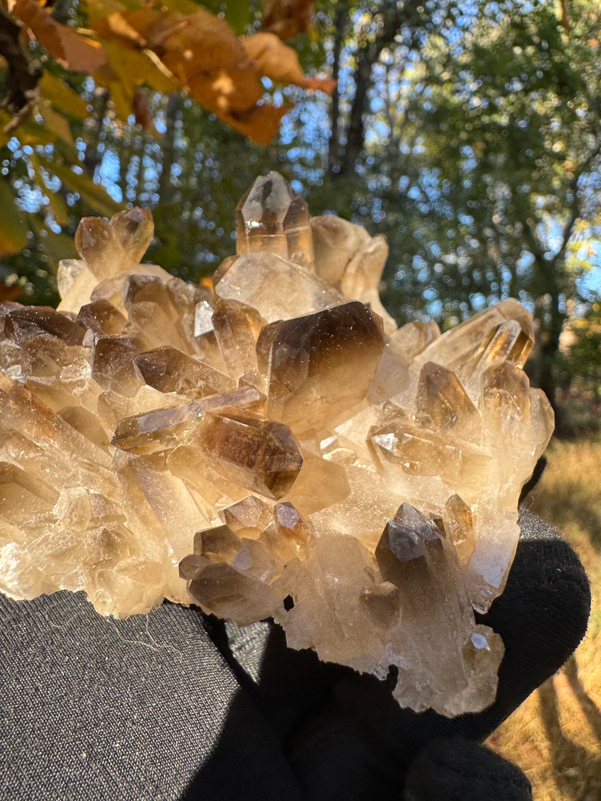 Smoky Quartz Specimen - 310g