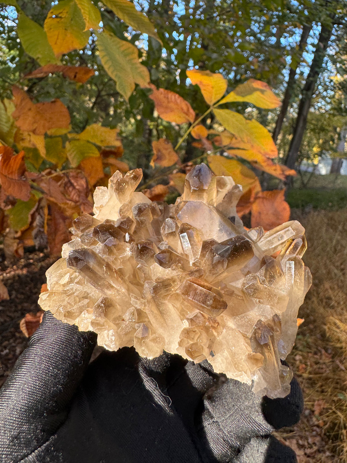 Smoky Quartz Specimen - 310g