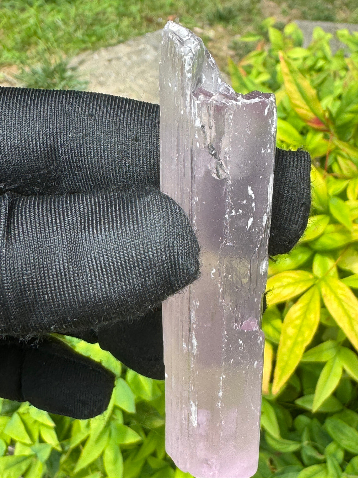 Kunzite Crystals - 53g