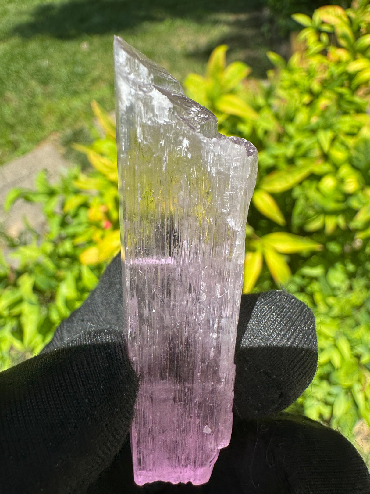 Kunzite Crystals - 29g