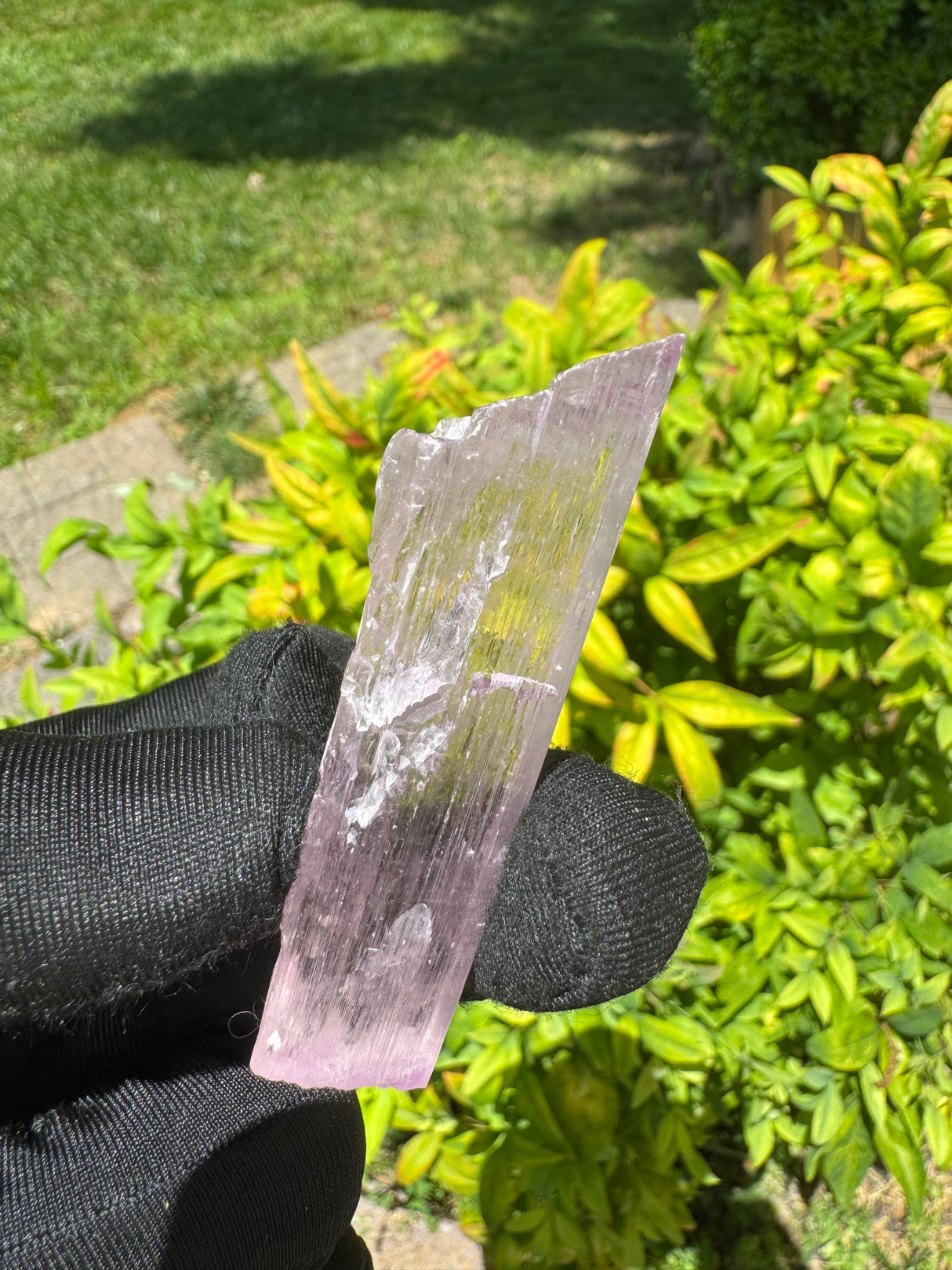 Kunzite Crystals - 29g