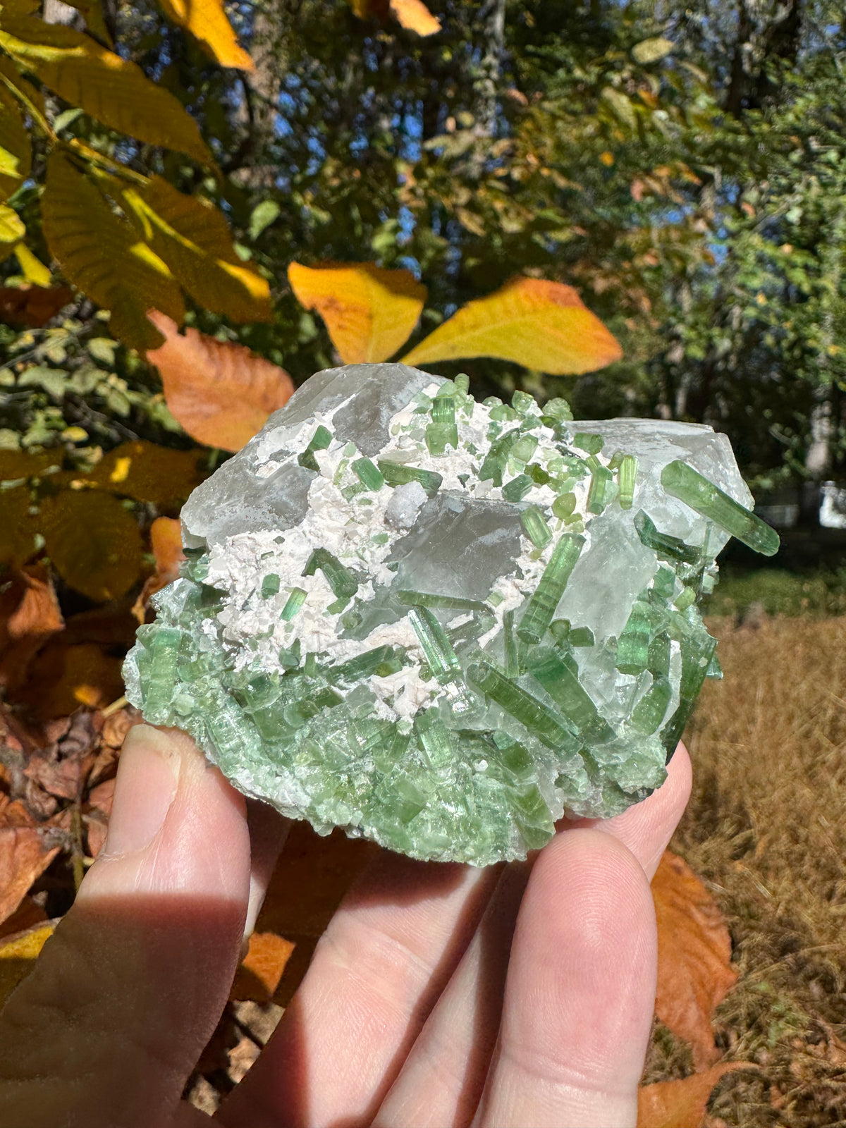 Green Tourmaline Specimen - 295g