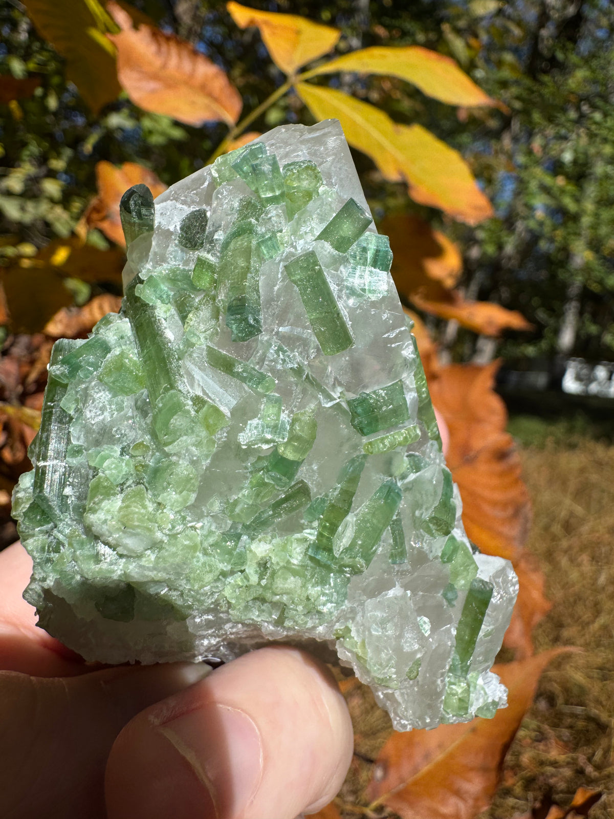 Green Tourmaline Specimen - 295g