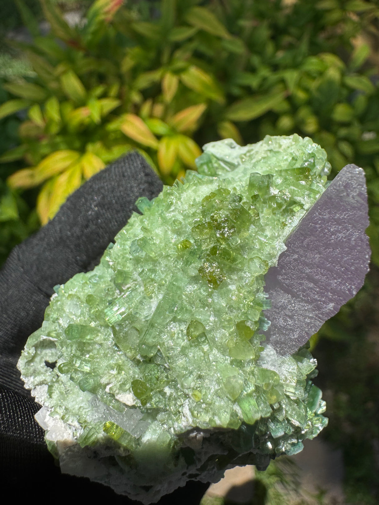 Kunzite and Tourmaline Specimen - 205g