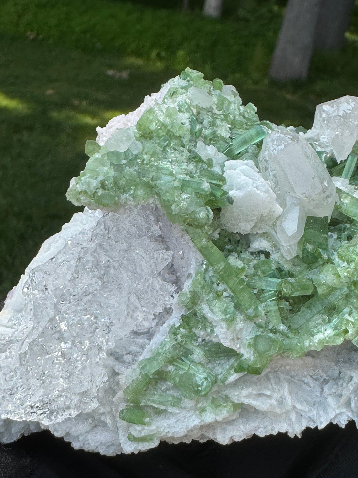 Green Tourmaline Specimen - 488g