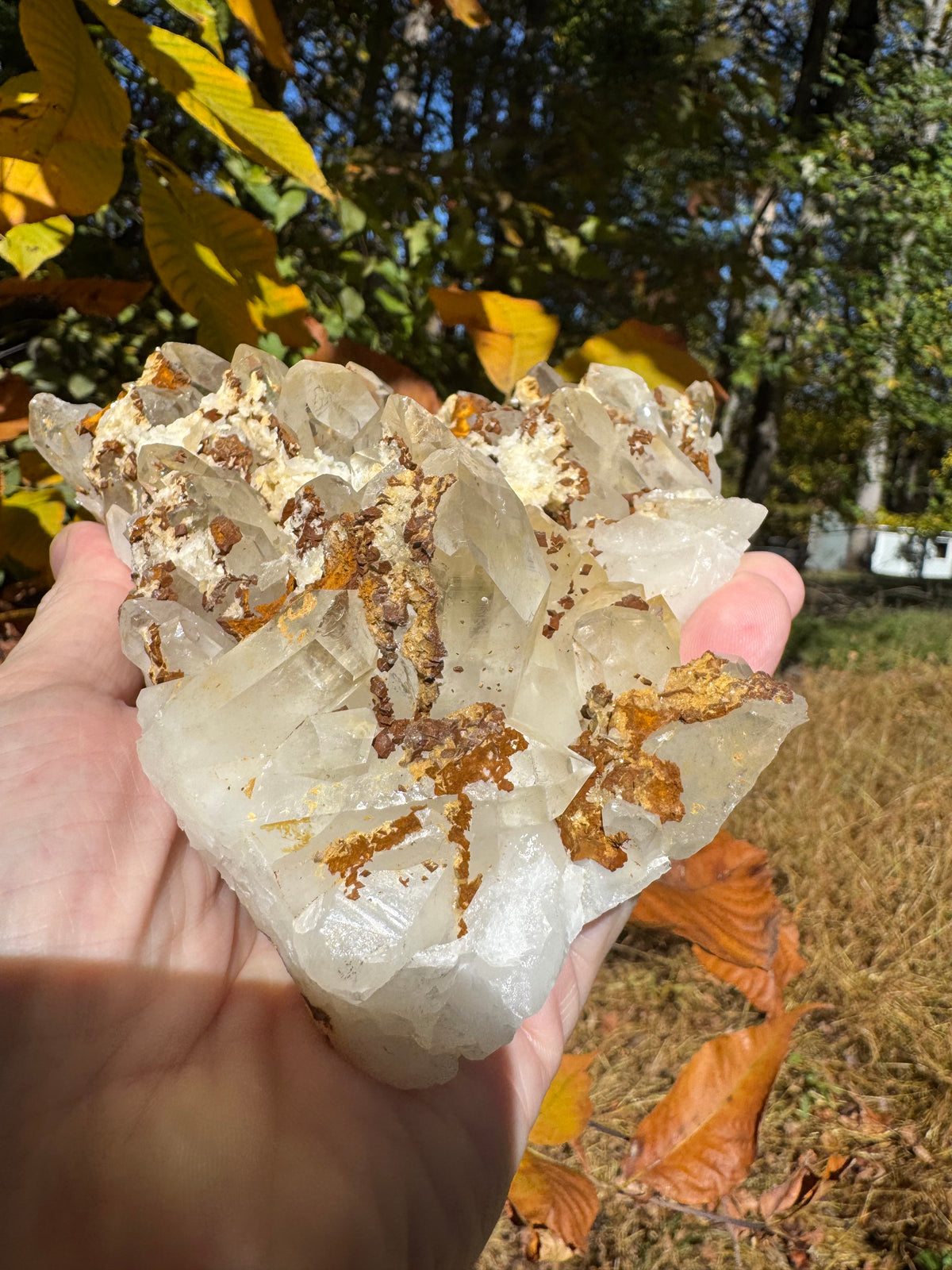 Quartz Specimen - 1241g