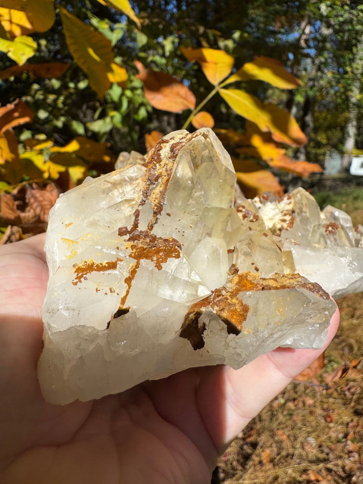 Quartz Specimen - 1241g