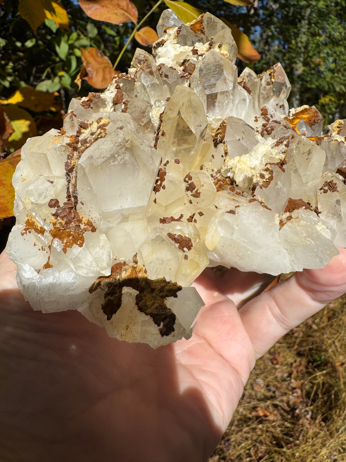 Quartz Specimen - 1241g