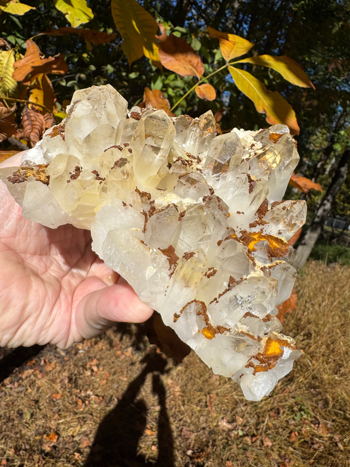 Quartz Specimen - 1241g