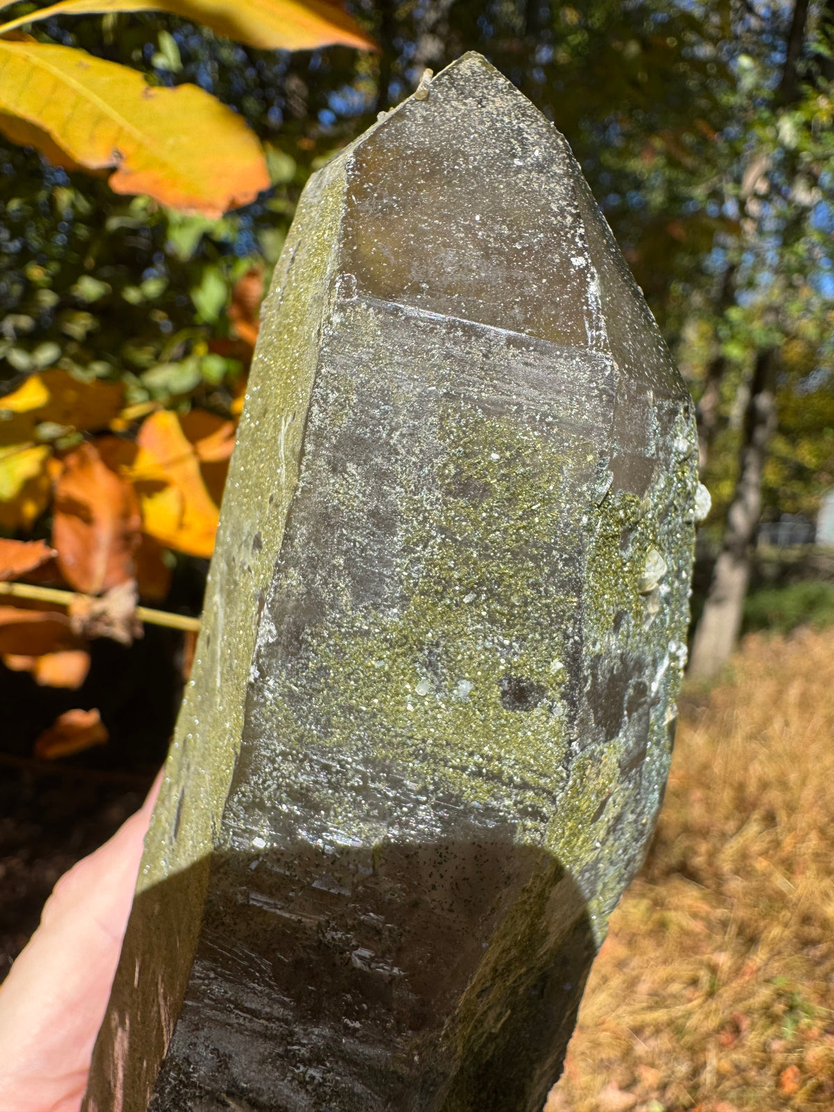 Quartz Specimen - 773g