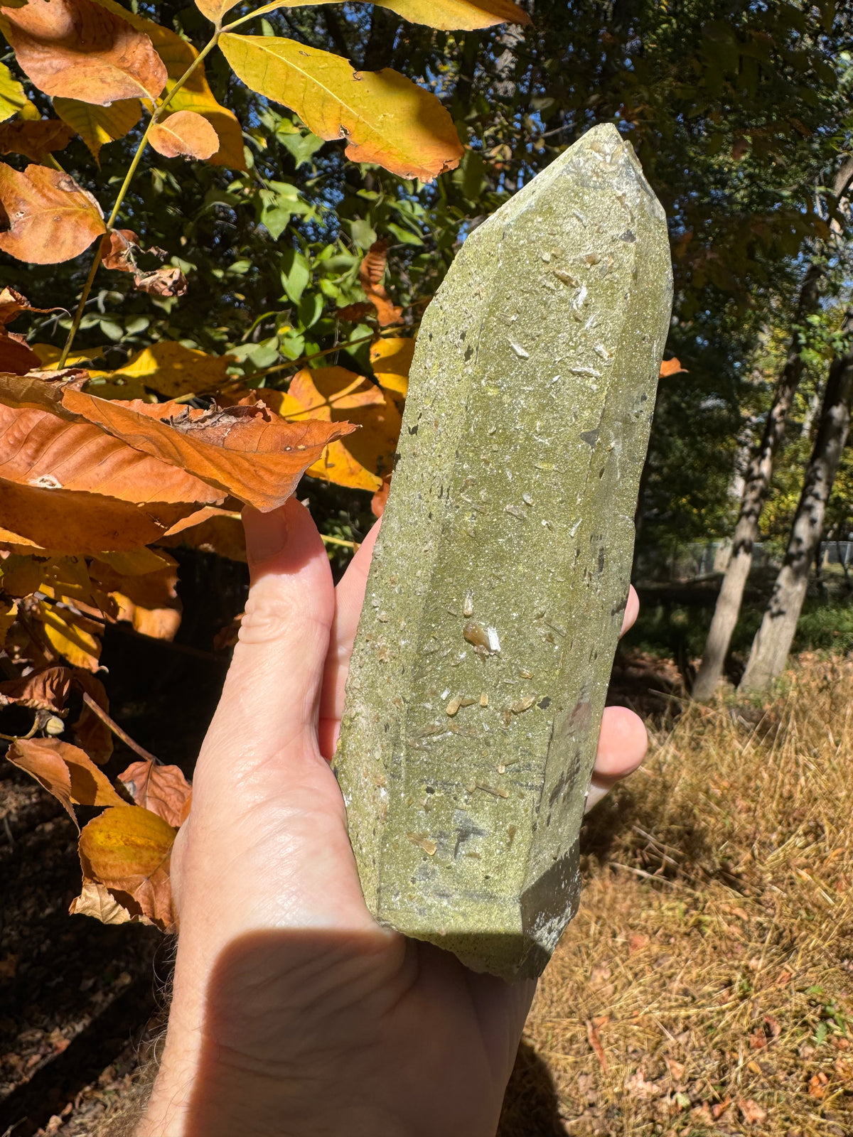 Quartz Specimen - 773g