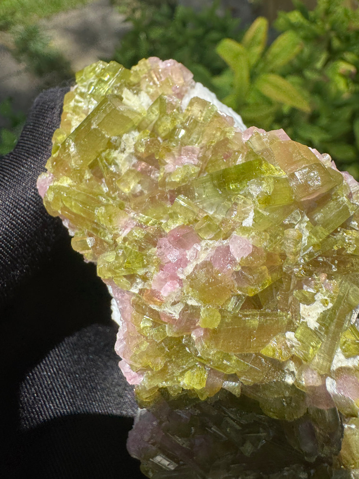 Watermelon Tourmaline Specimen - 227g