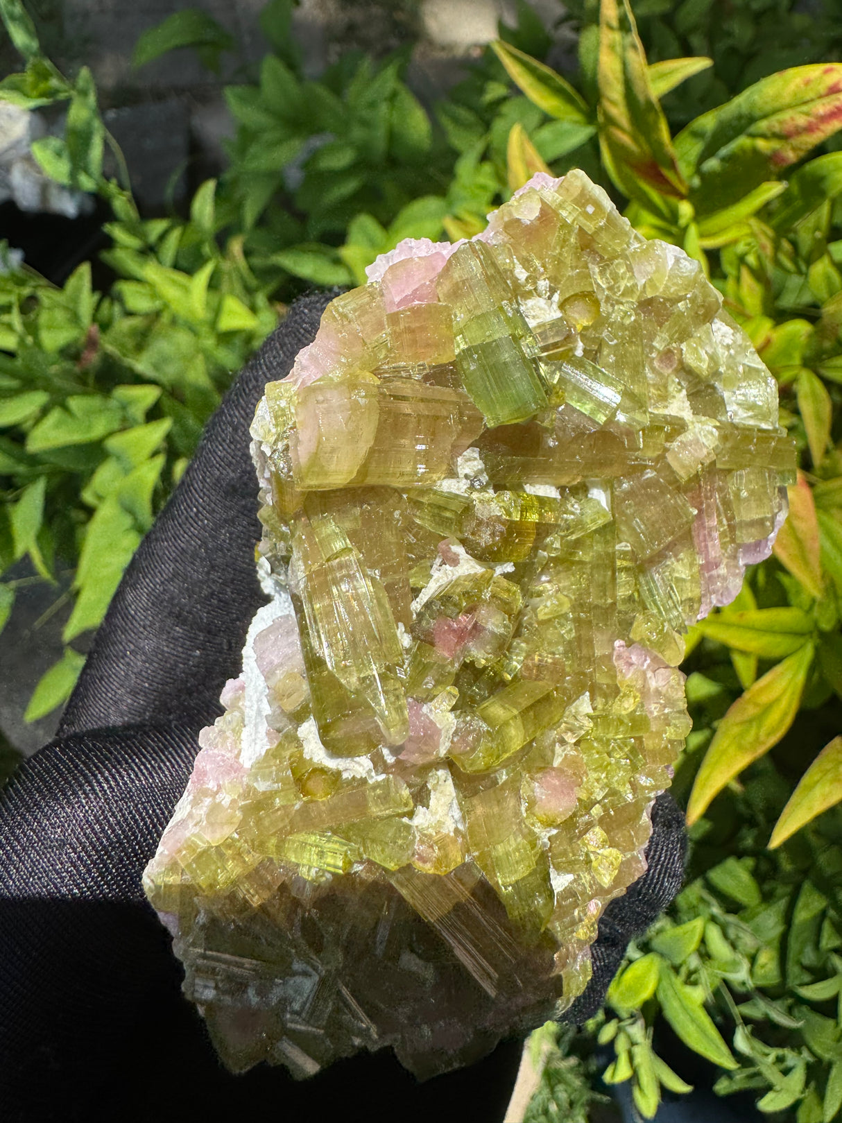 Watermelon Tourmaline Specimen - 227g