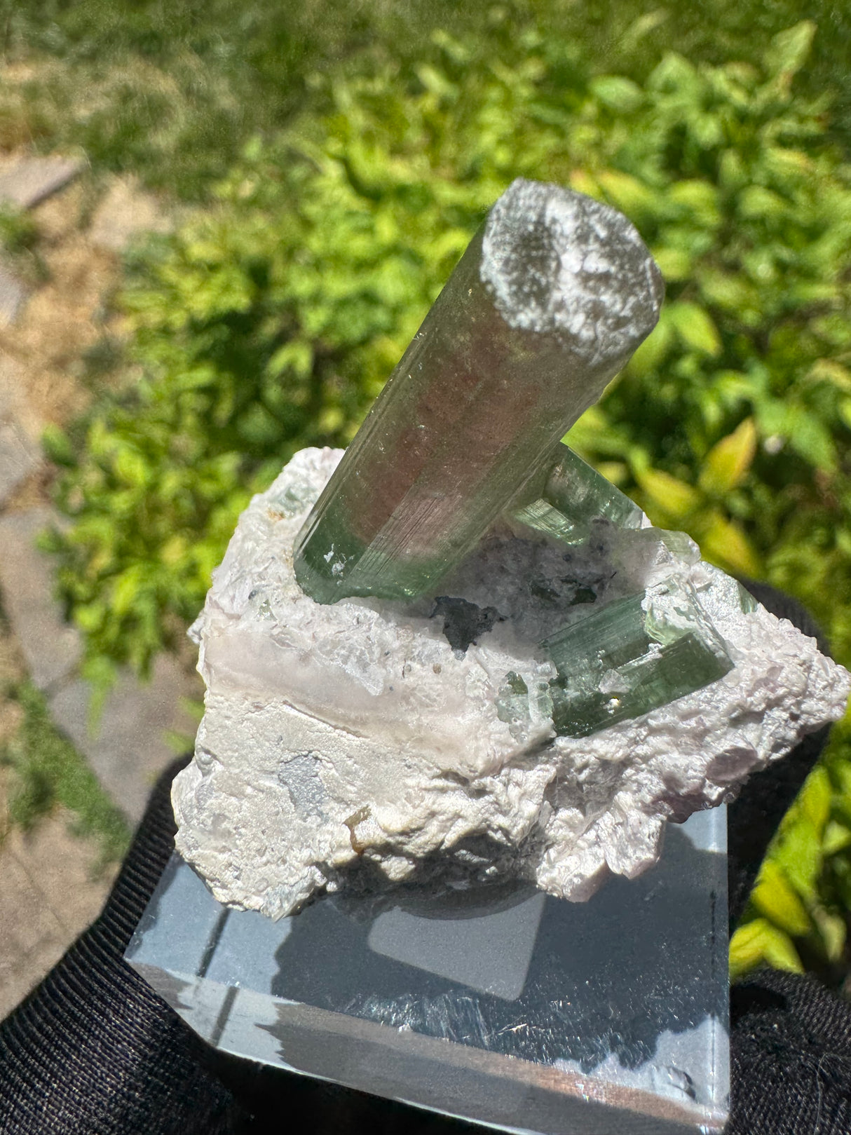 Watermelon Tourmaline Specimen - 34g